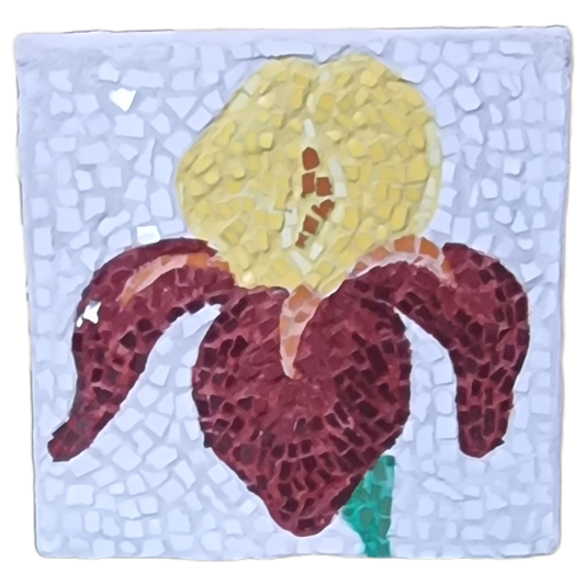 Amberflame Iris Hanging Mosaic Maker’s Studio DIY Kits | 15cm Square | 🛠 Level 2