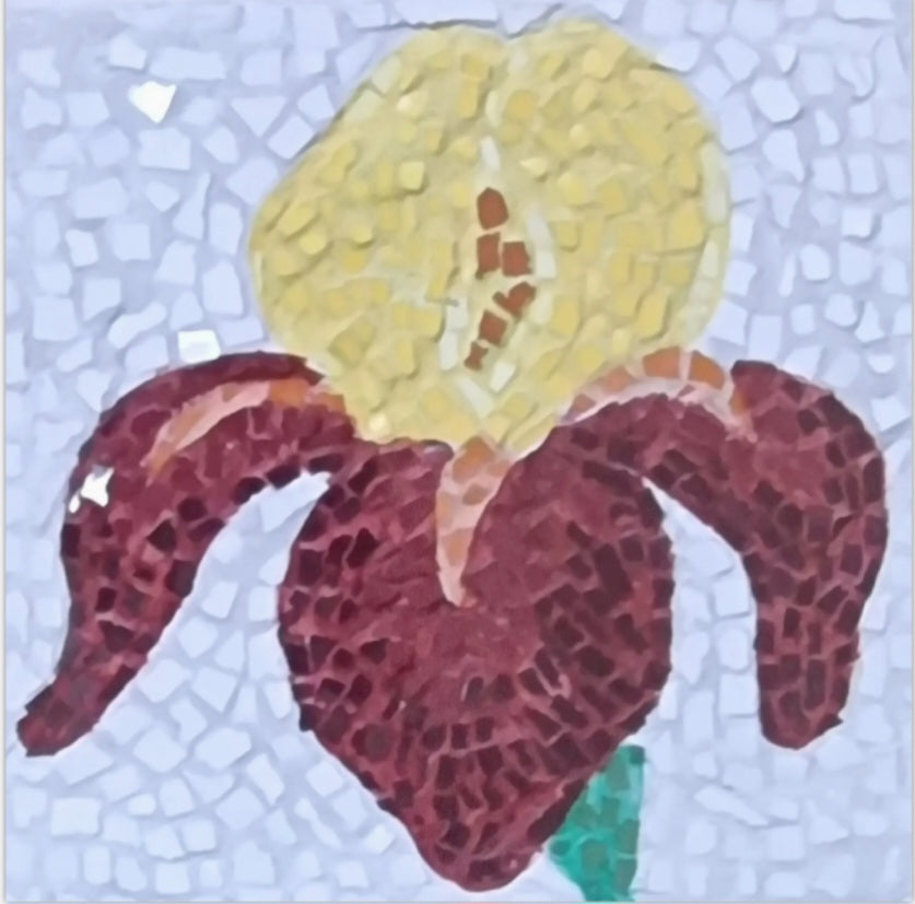 “Amber Flame” – Iris Mosaic Postcard Print