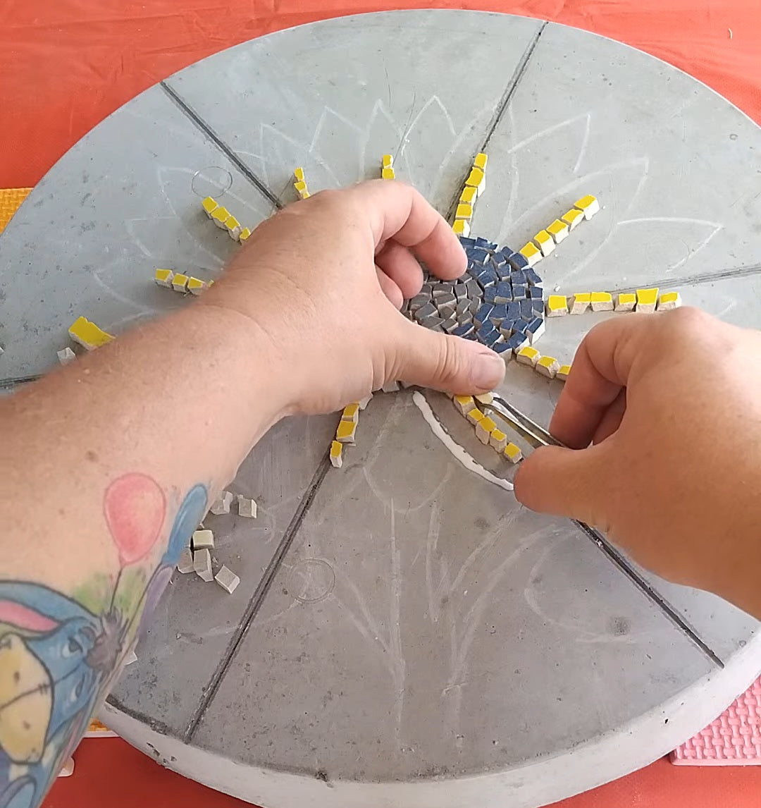 A Beginners mosaic design on concrete paver