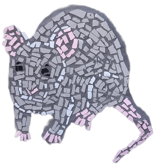 Inside the Pet Portraits Collection: A Mosaic Memorial of the Animals We Love