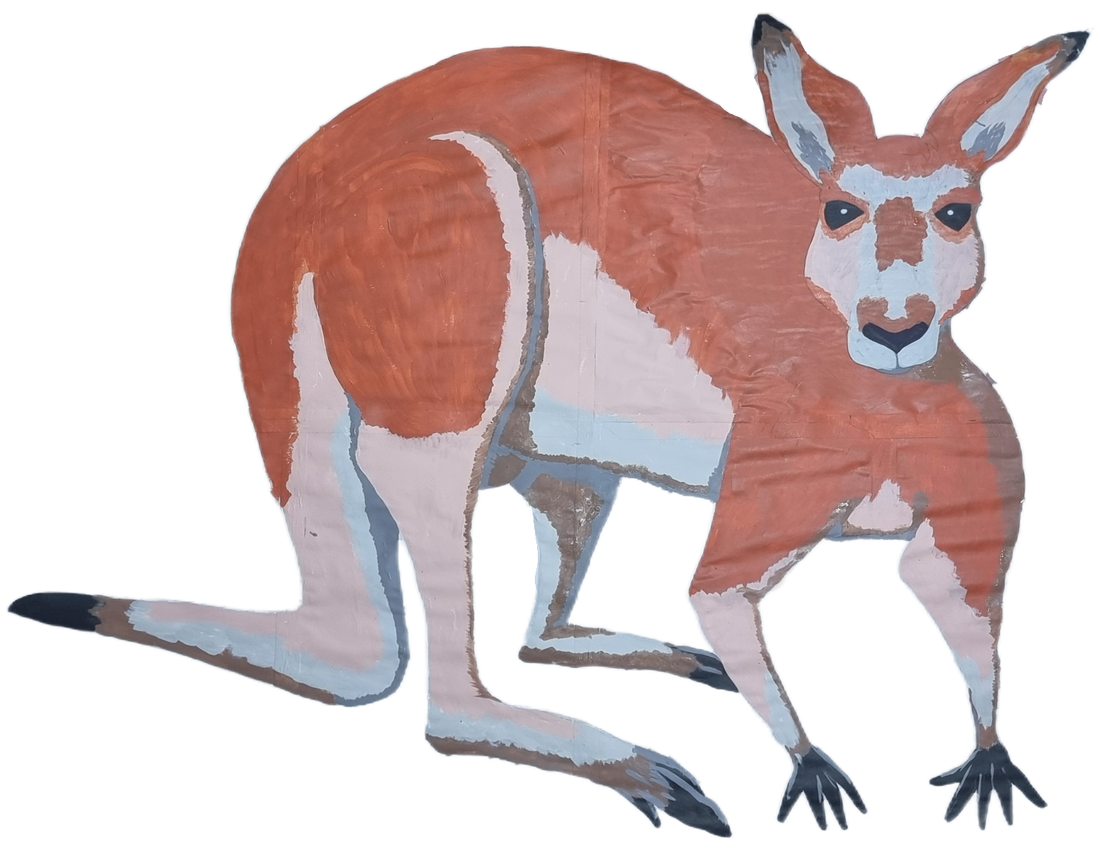 Inside the Australiana Collection: A Tribute to Life, Beauty, and Urgency