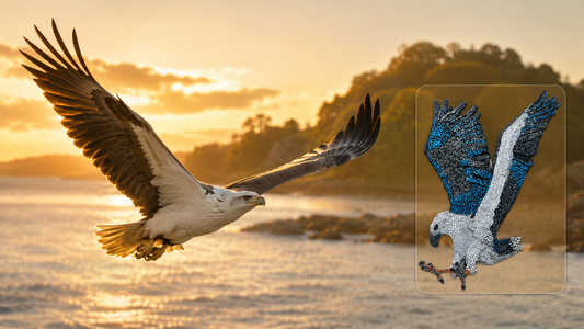 What Is a White-Bellied Sea Eagle? A Gentle Guide for Wildlife Lovers