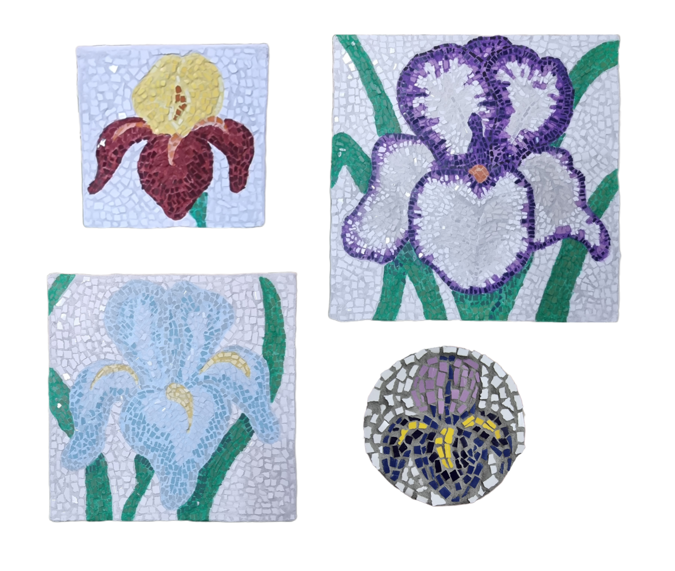Iris Collection