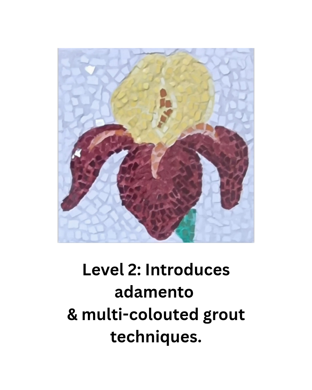 Level 2 Mosaic Kits – Intermediate DIY Mosaic Art with Adamento & multi-coloured grout