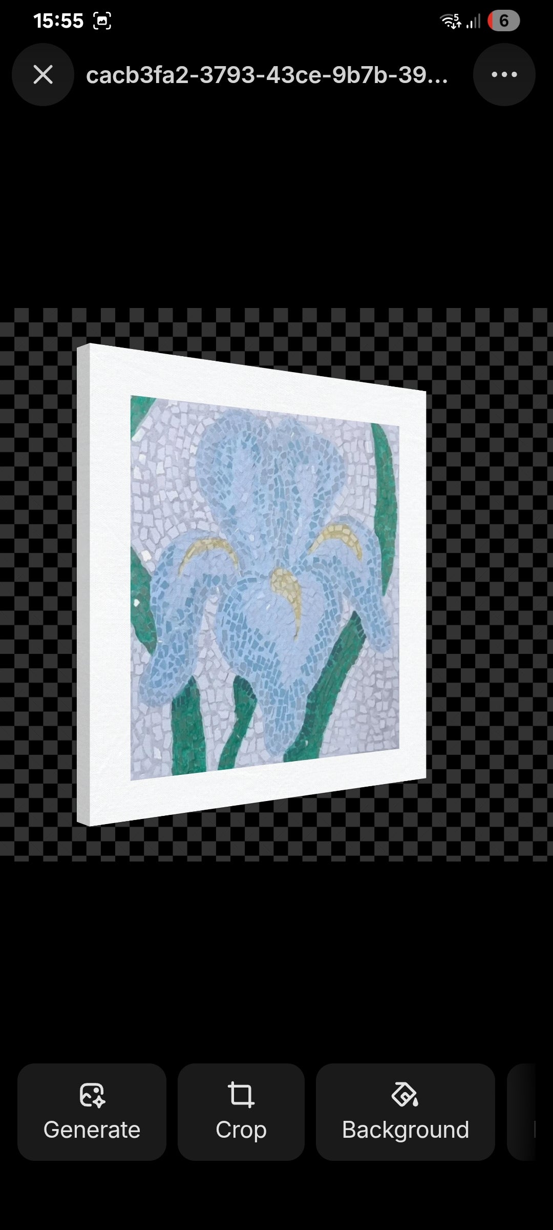 Canvases