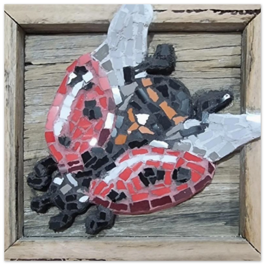 0f9b39b7-cd86-4d6e-8750-2f4026cb0aec