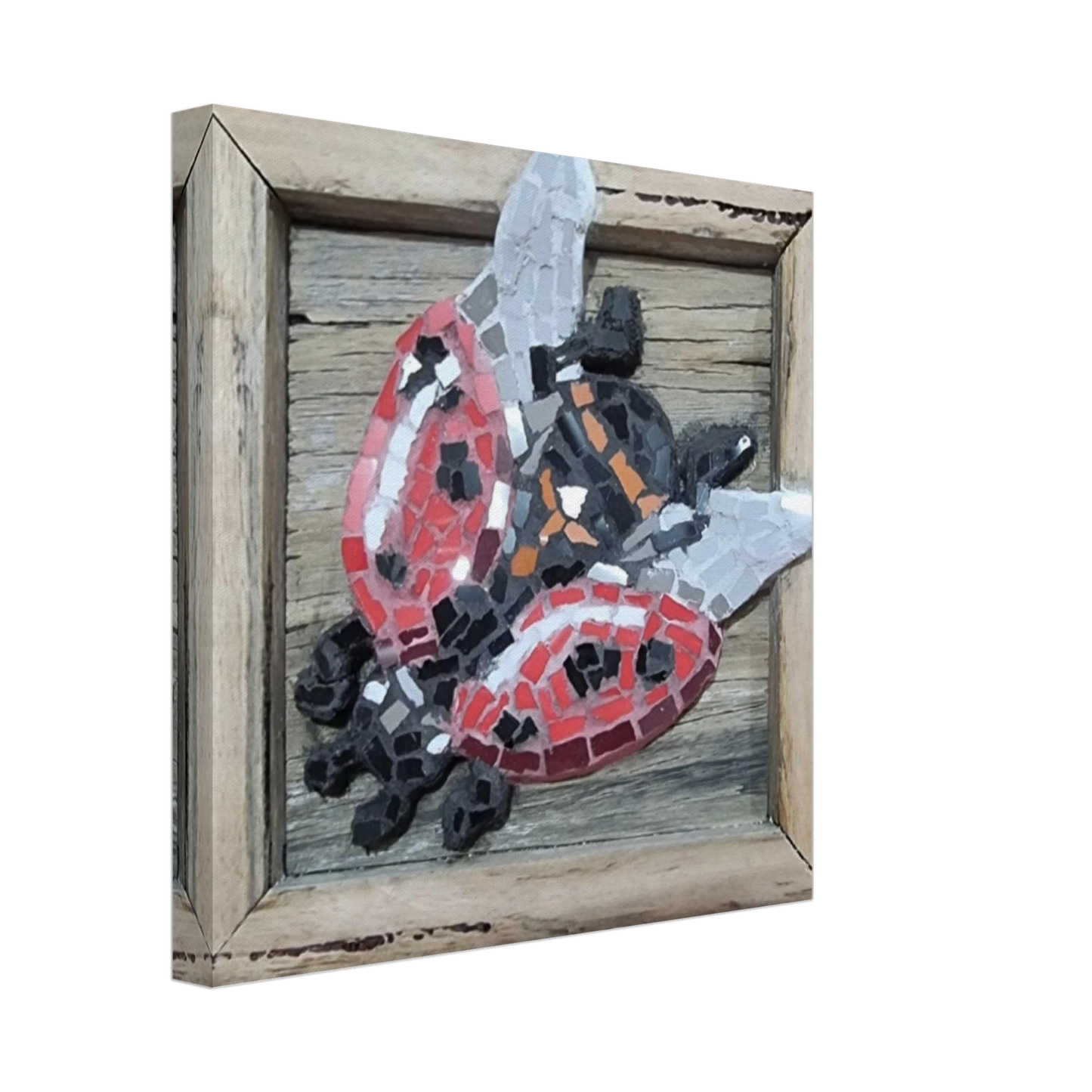 118c4e63-7c9c-4988-a1f0-6c4c9170e4be