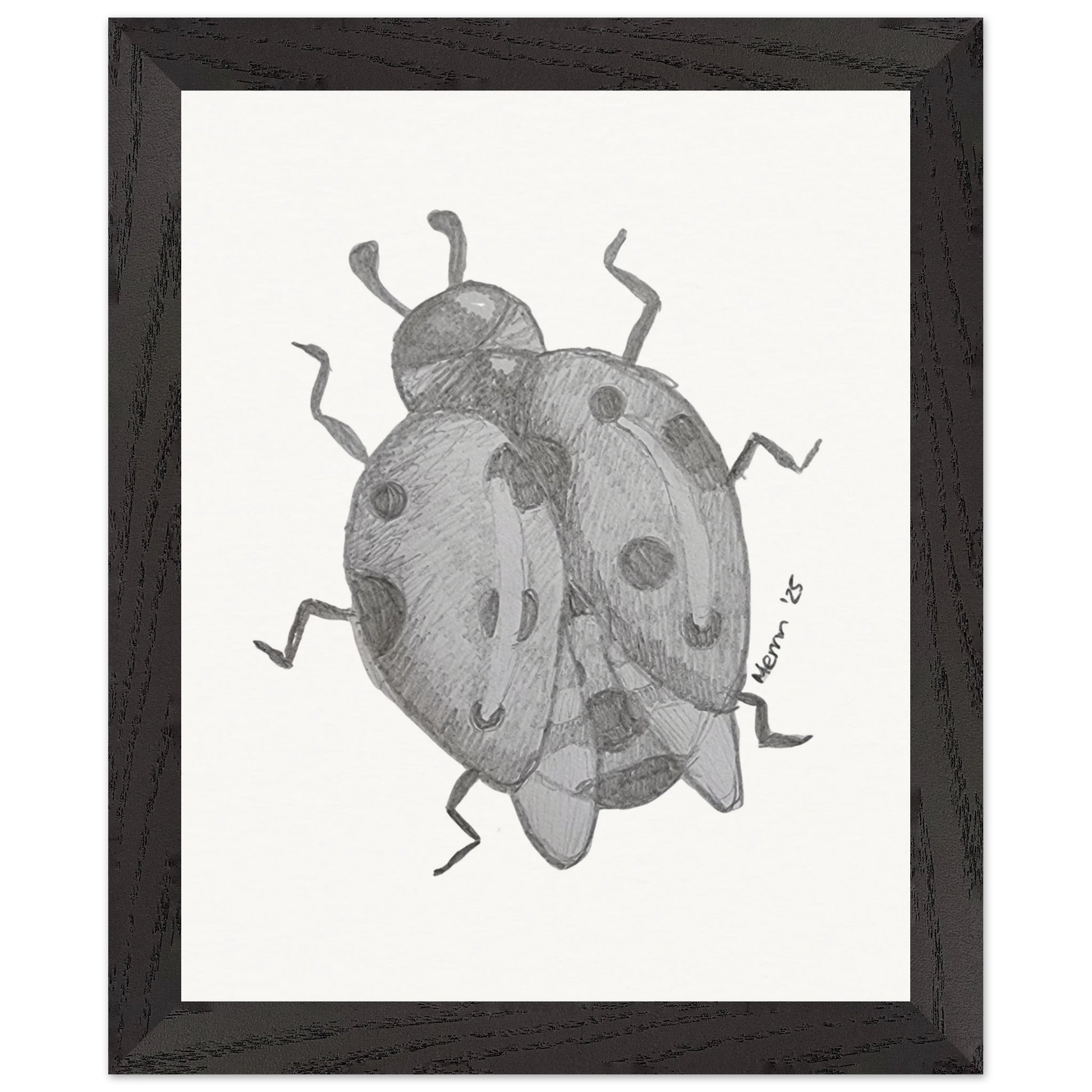 1a911bab-4b05-44e4-a85f-1d70cd5ba69e