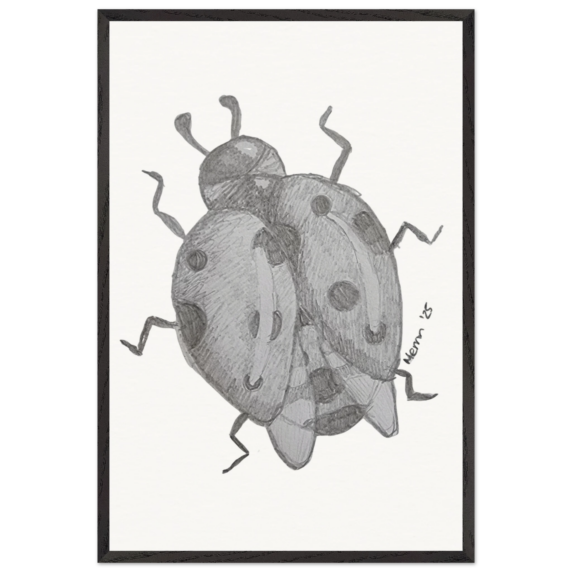 1c8d8af8-2003-471e-8aa6-635f16baab55