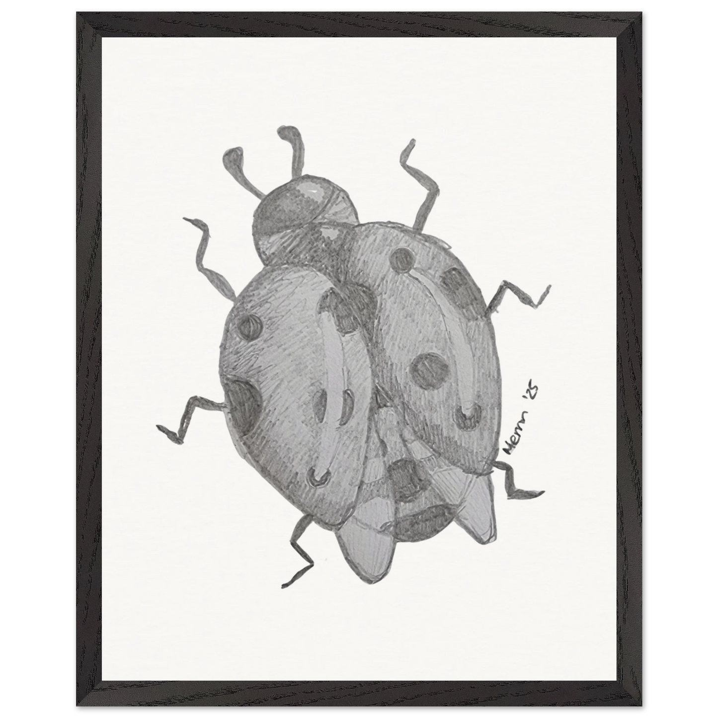 20037e2e-8833-4319-af32-626123f83643