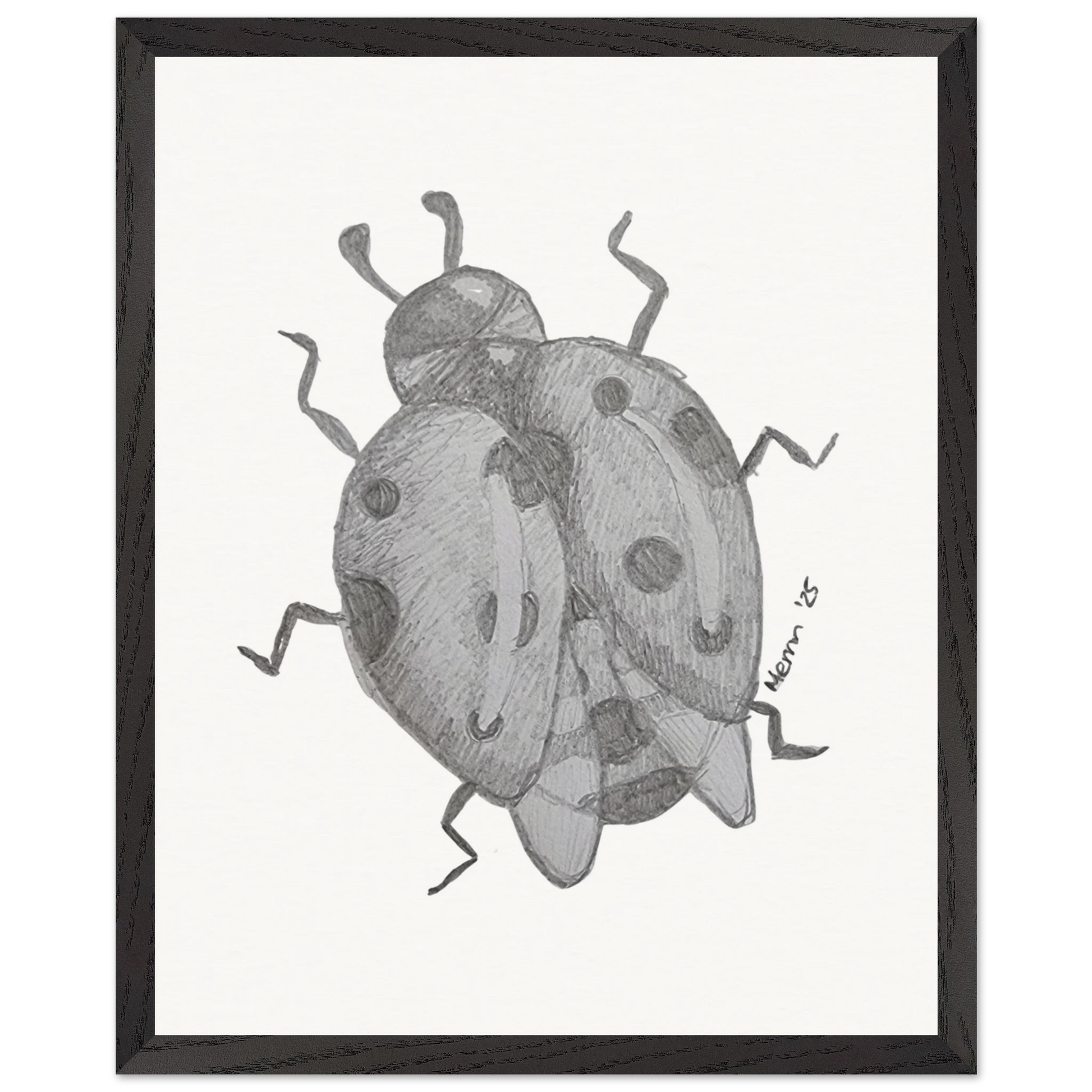 20037e2e-8833-4319-af32-626123f83643