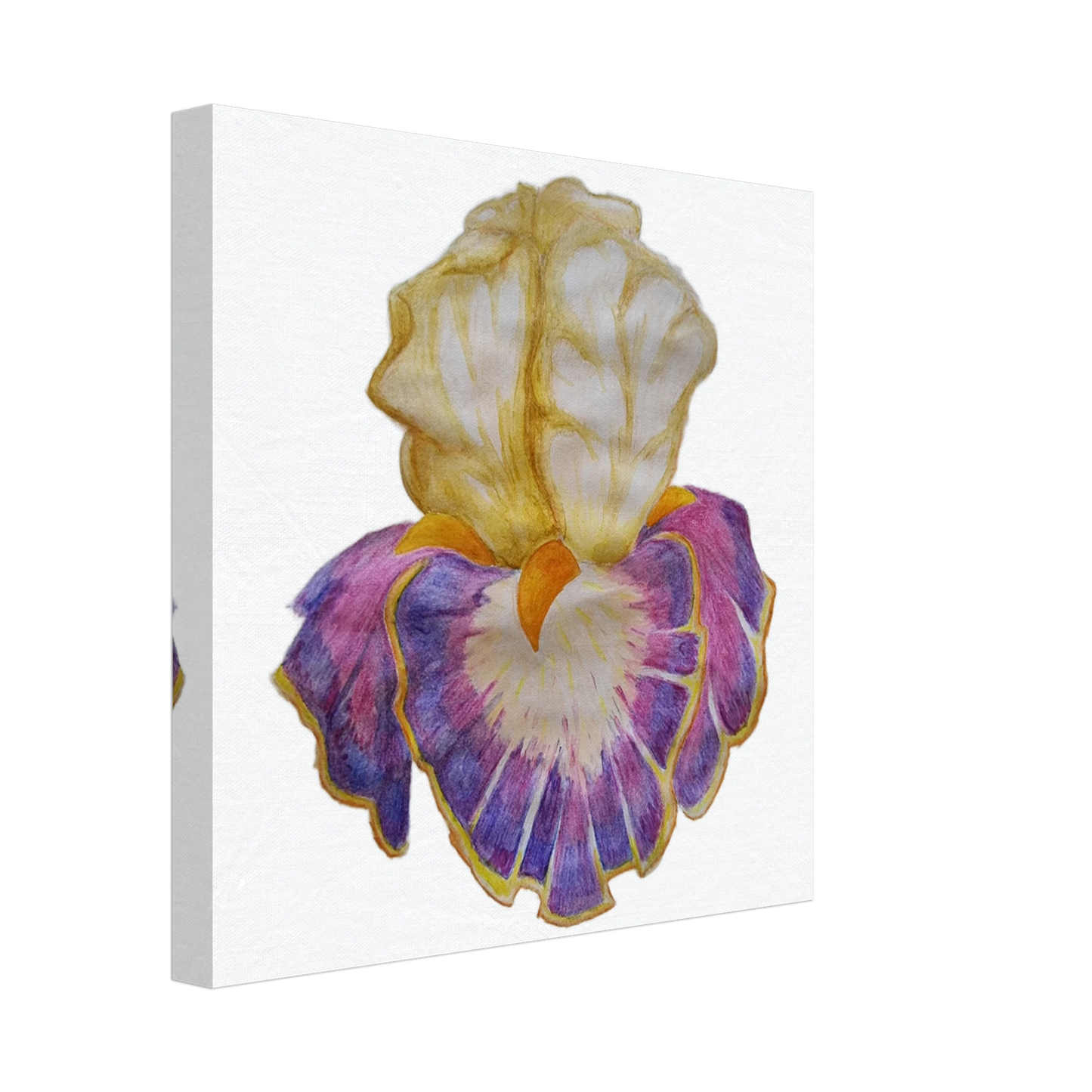 211a5b38-5bc2-473b-b50f-2a0916c6dee7