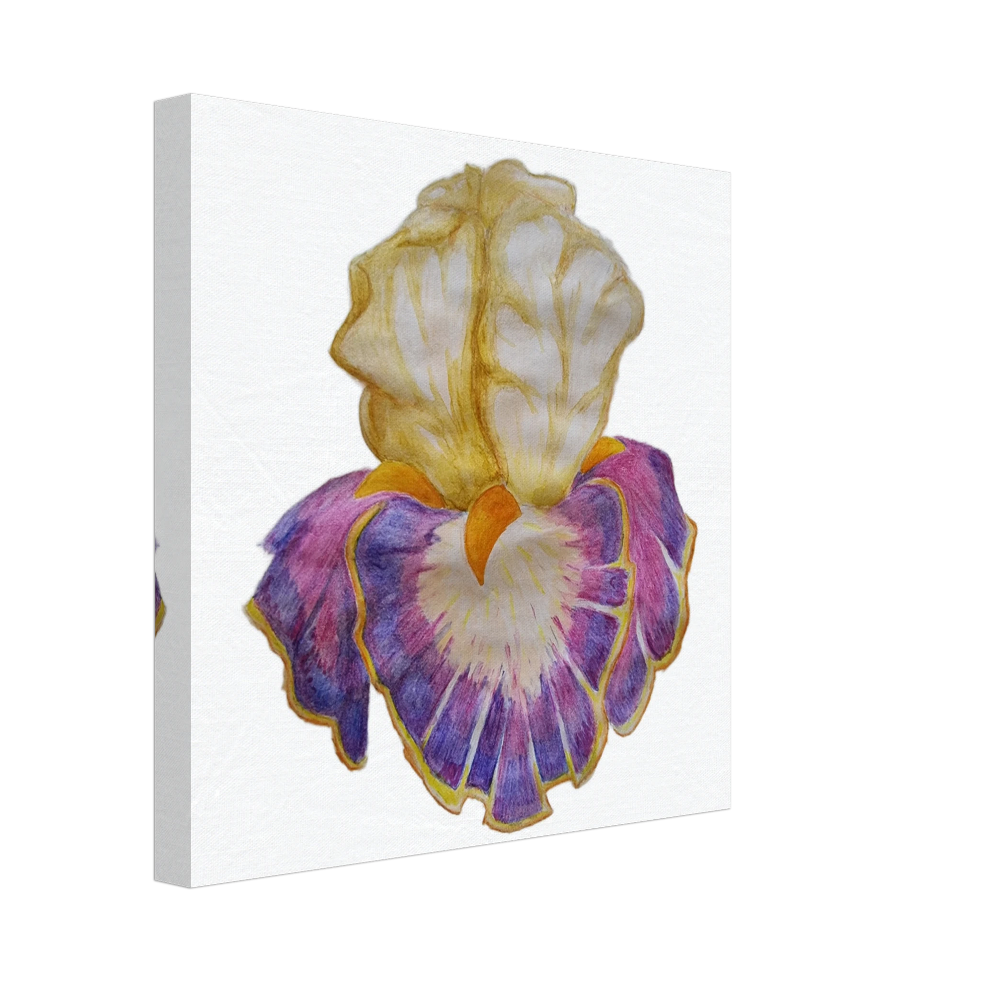 211a5b38-5bc2-473b-b50f-2a0916c6dee7