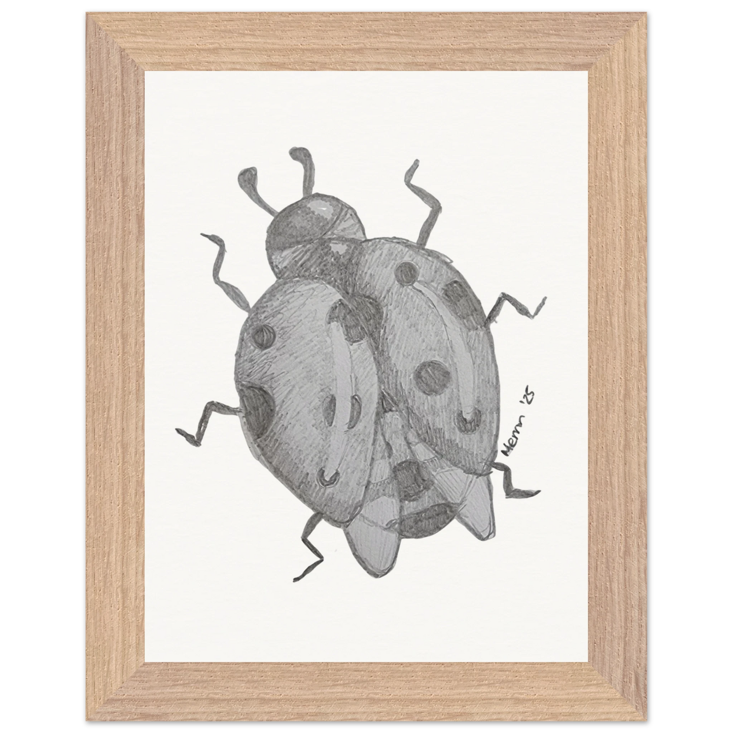 212135a3-21dc-4947-bdff-22717b556b4a