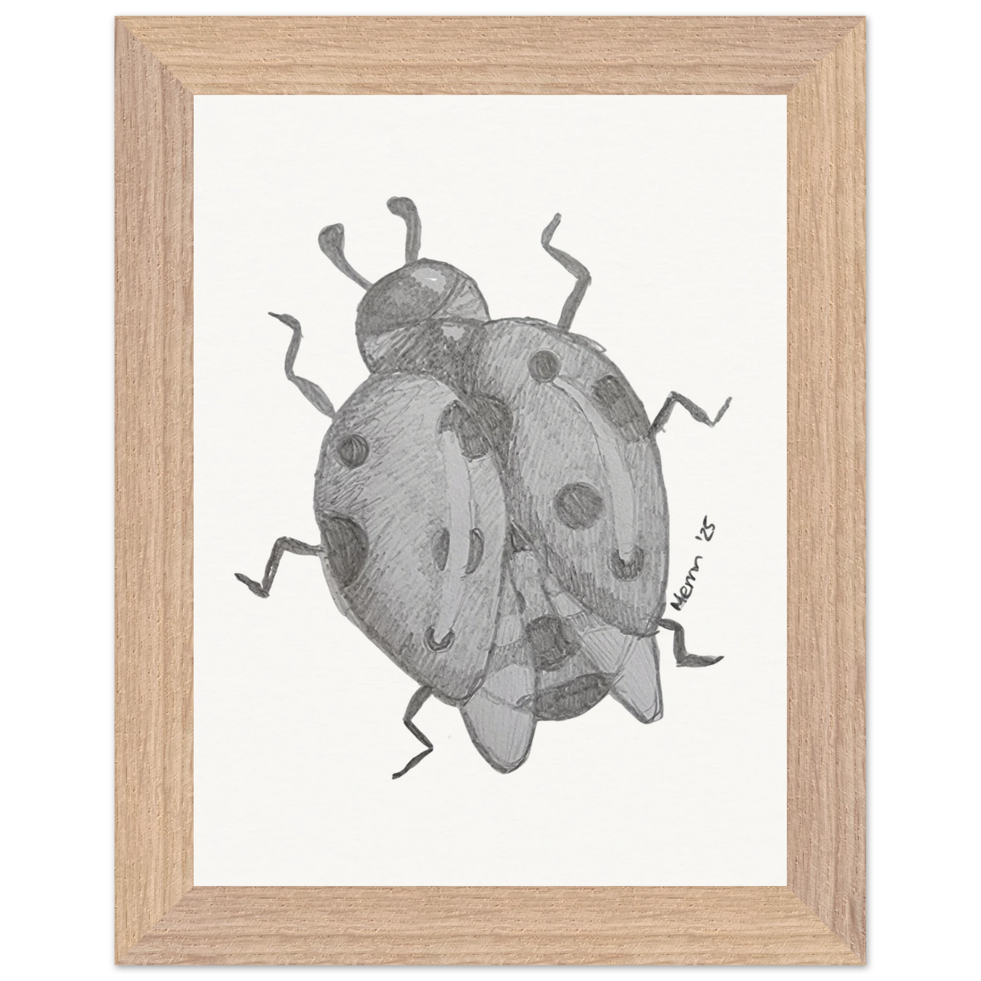 212135a3-21dc-4947-bdff-22717b556b4a