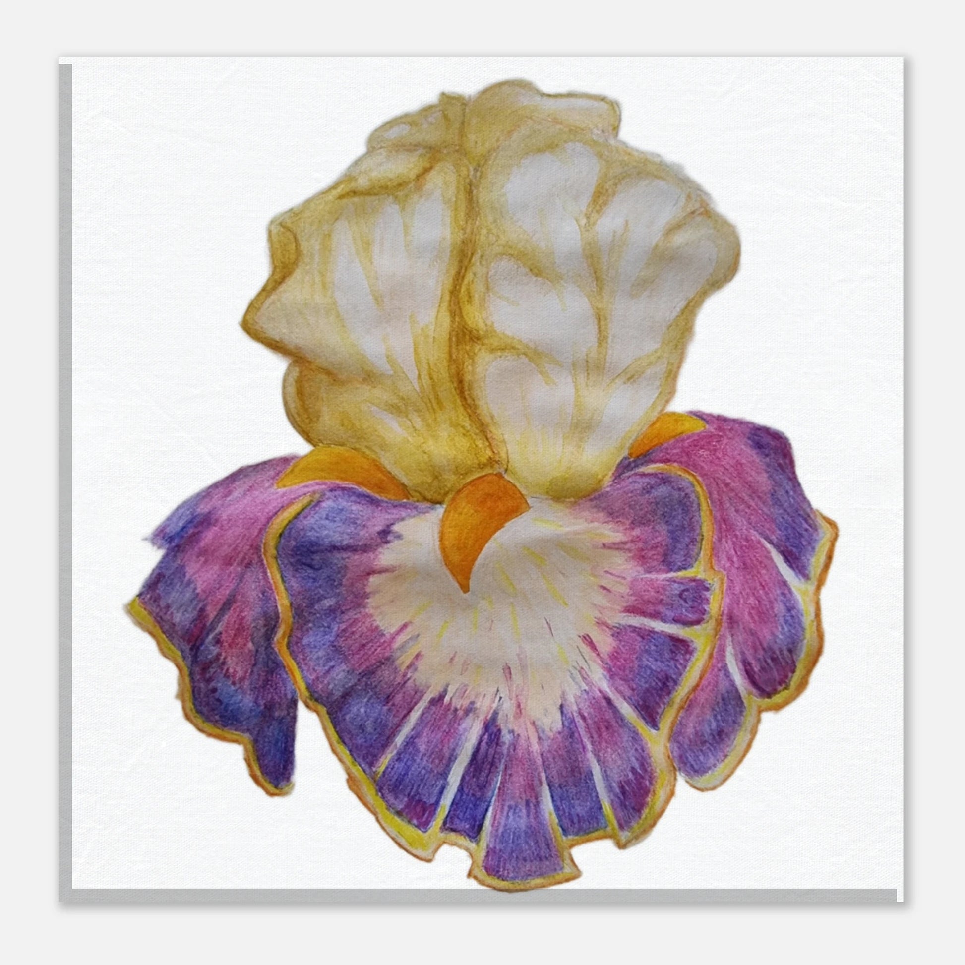 25399619-955f-4ae0-aee6-2a1835d55537