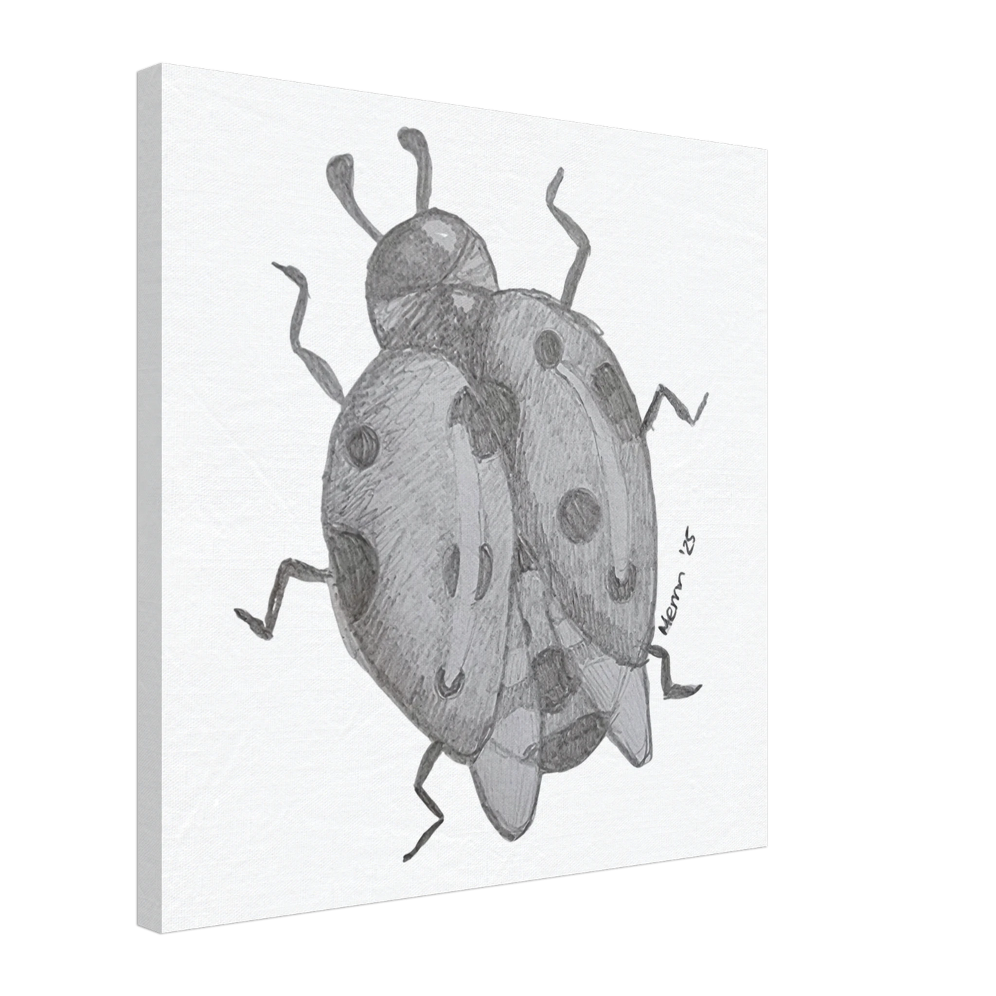 3215fc98-2a6a-453f-ac9e-0fe0b810d764