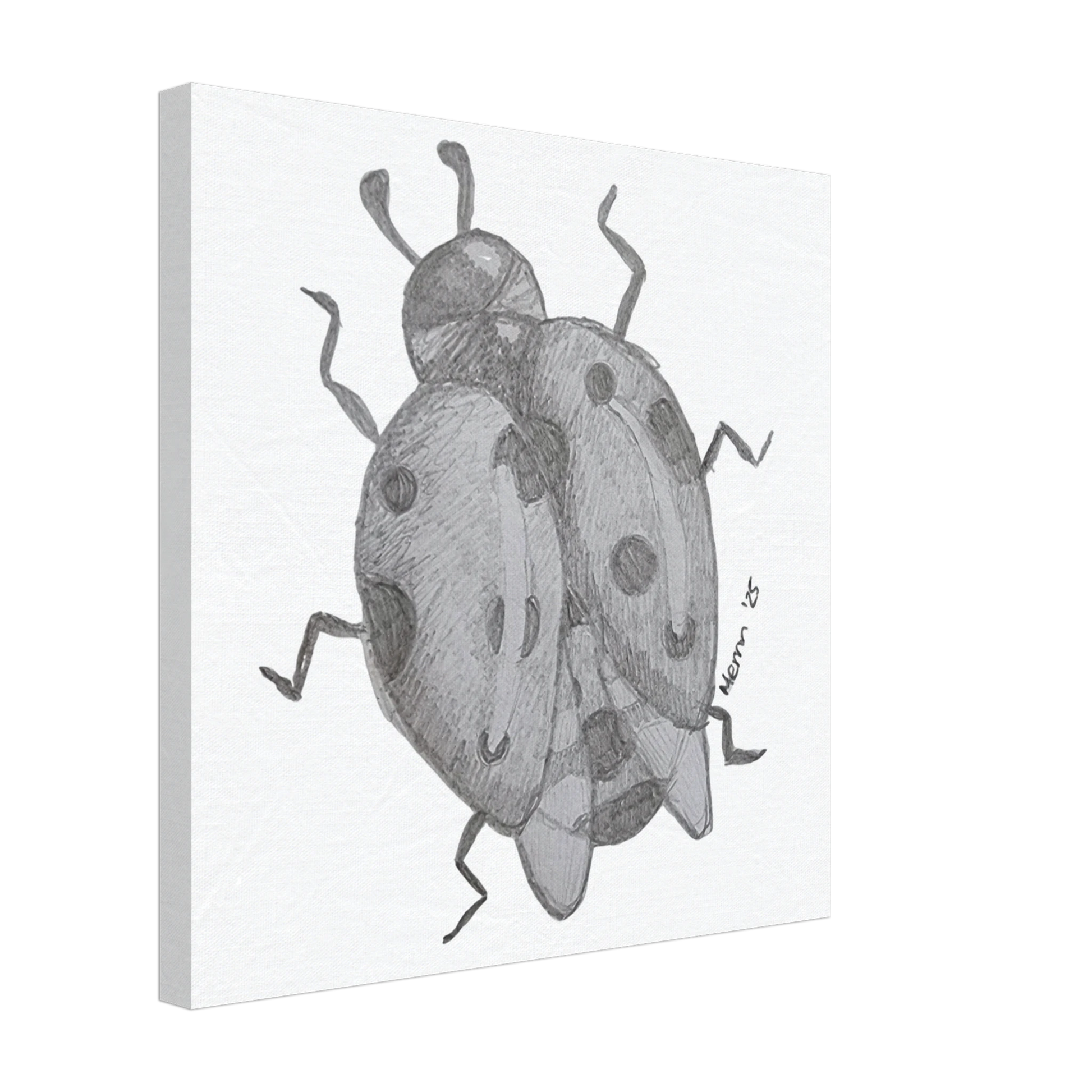 39088ec7-acab-4b9f-bfb9-756added1d16