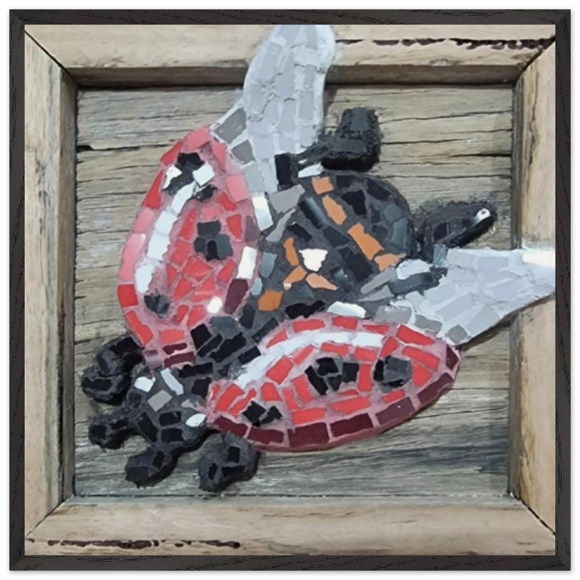 405fd236-eaaa-46f2-888d-b1e27c2e696e