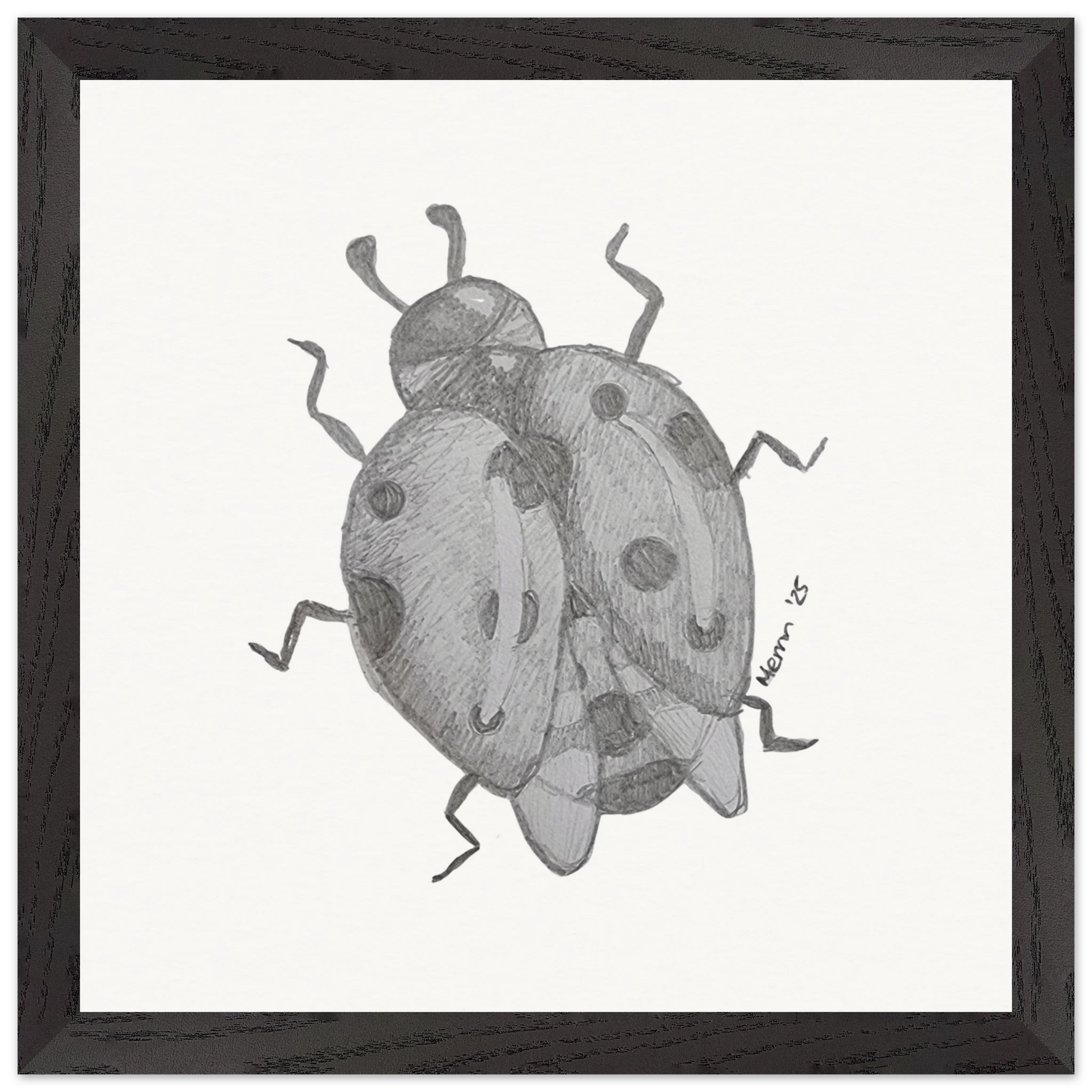 441bd661-0dbc-42bd-bbc2-5375136b259f