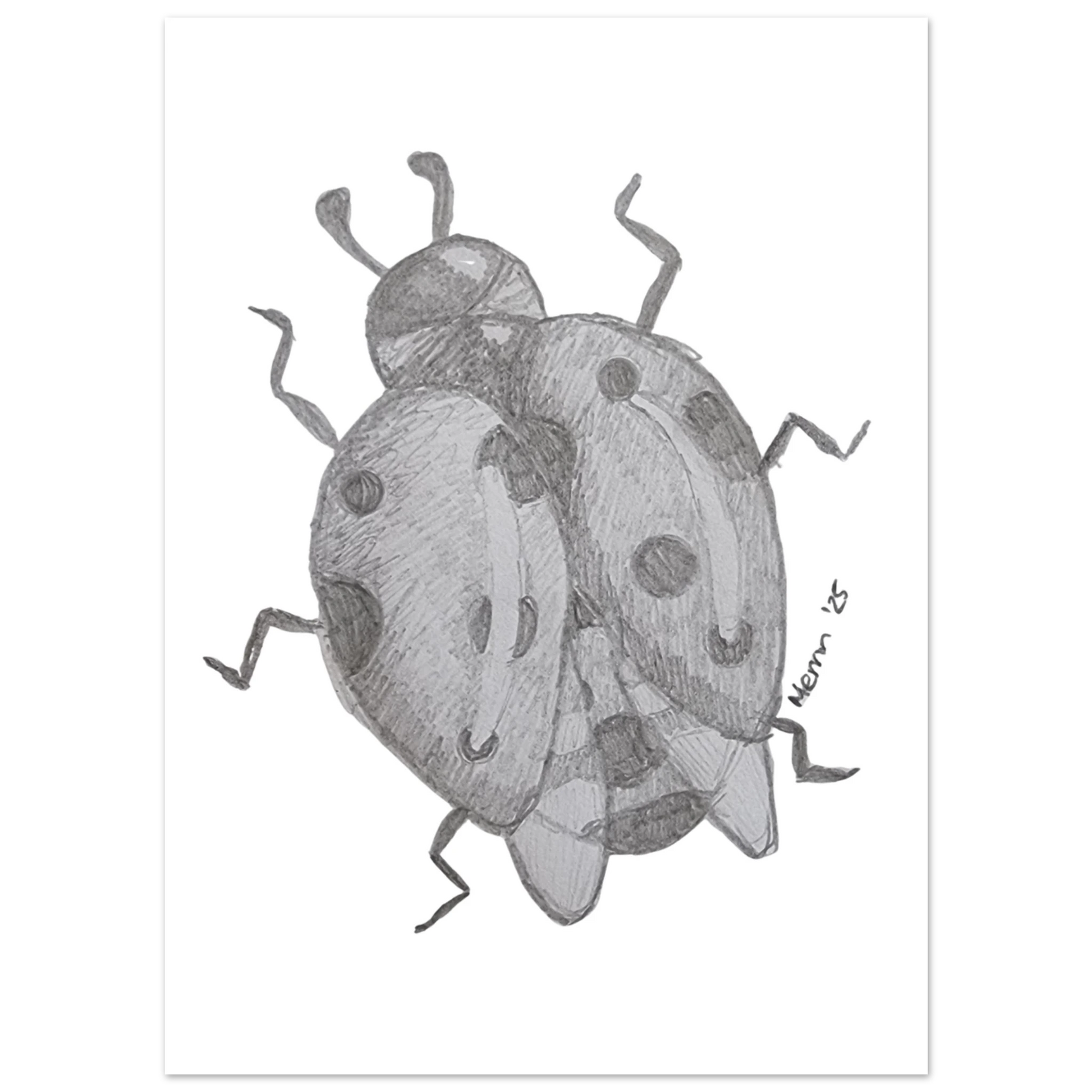 5104dd7a-a24f-4676-ade7-e9cc77f39fcf