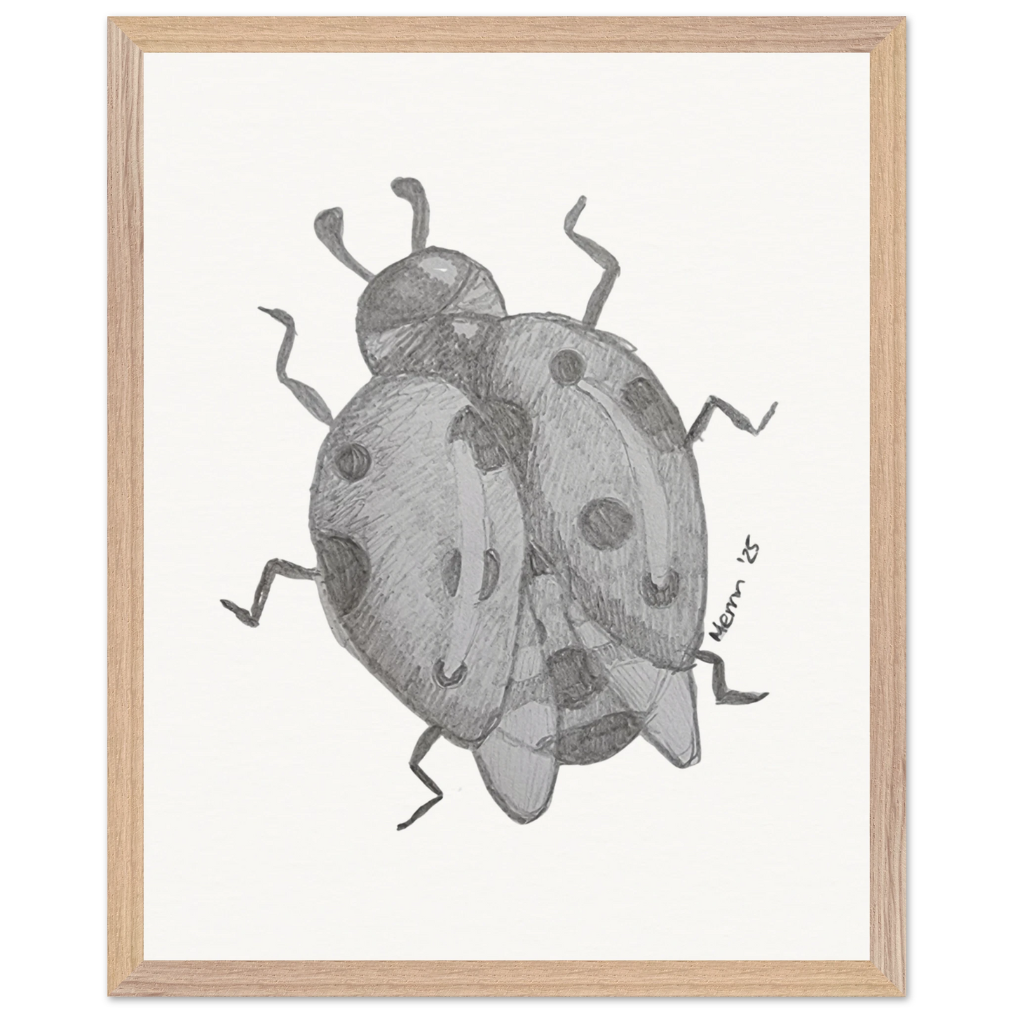 55620e28-419b-483b-93e3-b814b05b0c63