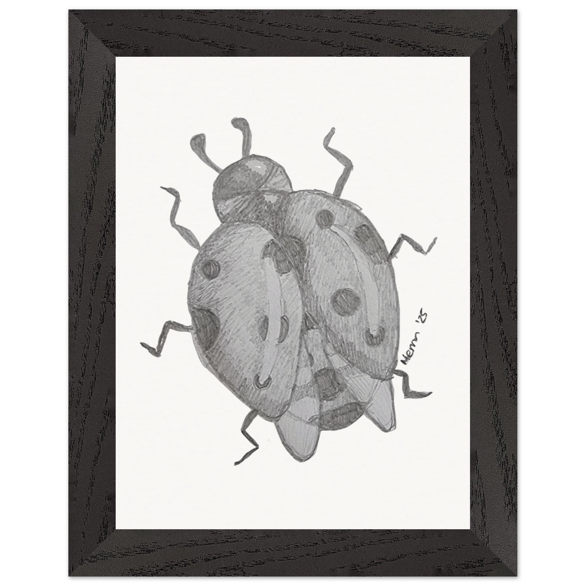 58e009b9-8b72-45ec-8490-f05cf6f40ddc