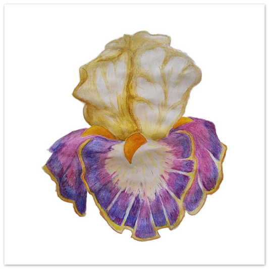 5b4652d8-aebd-4042-a2e9-d3c22216742f