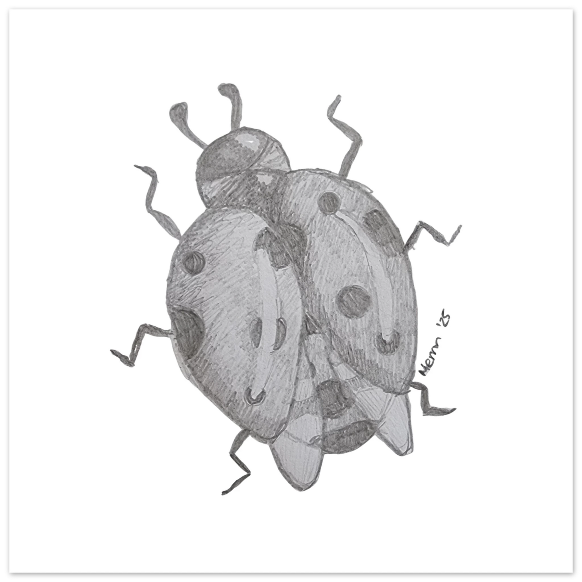 608b0ebc-2379-4a09-8222-107bdada9a60