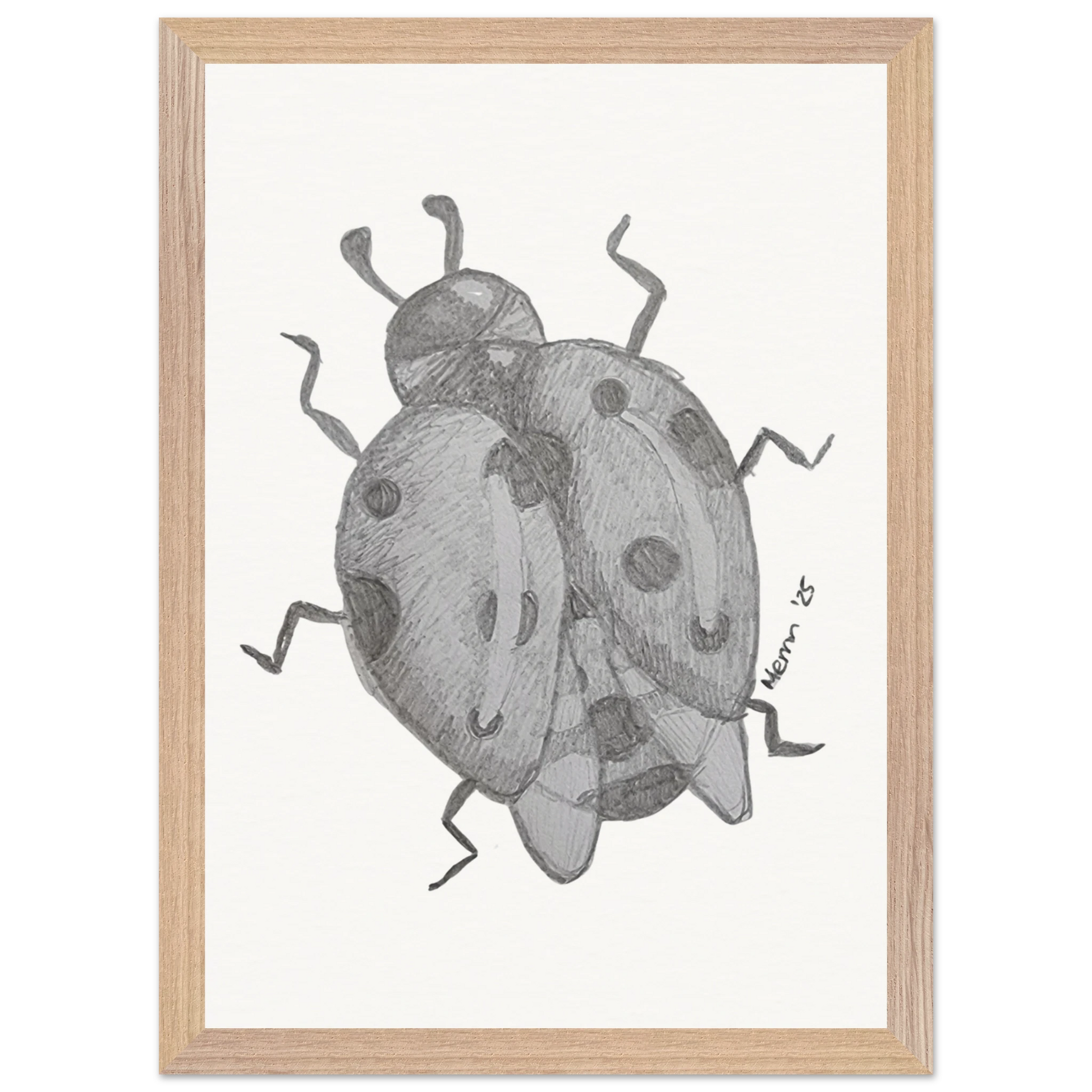 646c80ef-063c-4ba1-8baa-4ded480e91ee