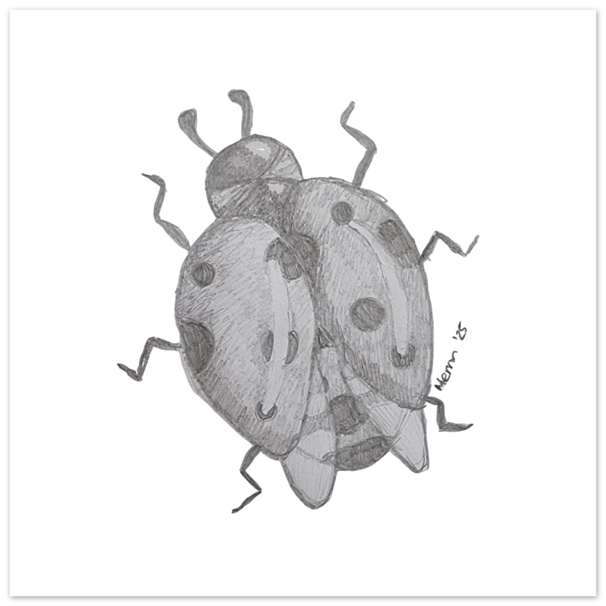 700655d0-3a72-4cb8-b25c-85474b5cdf1c