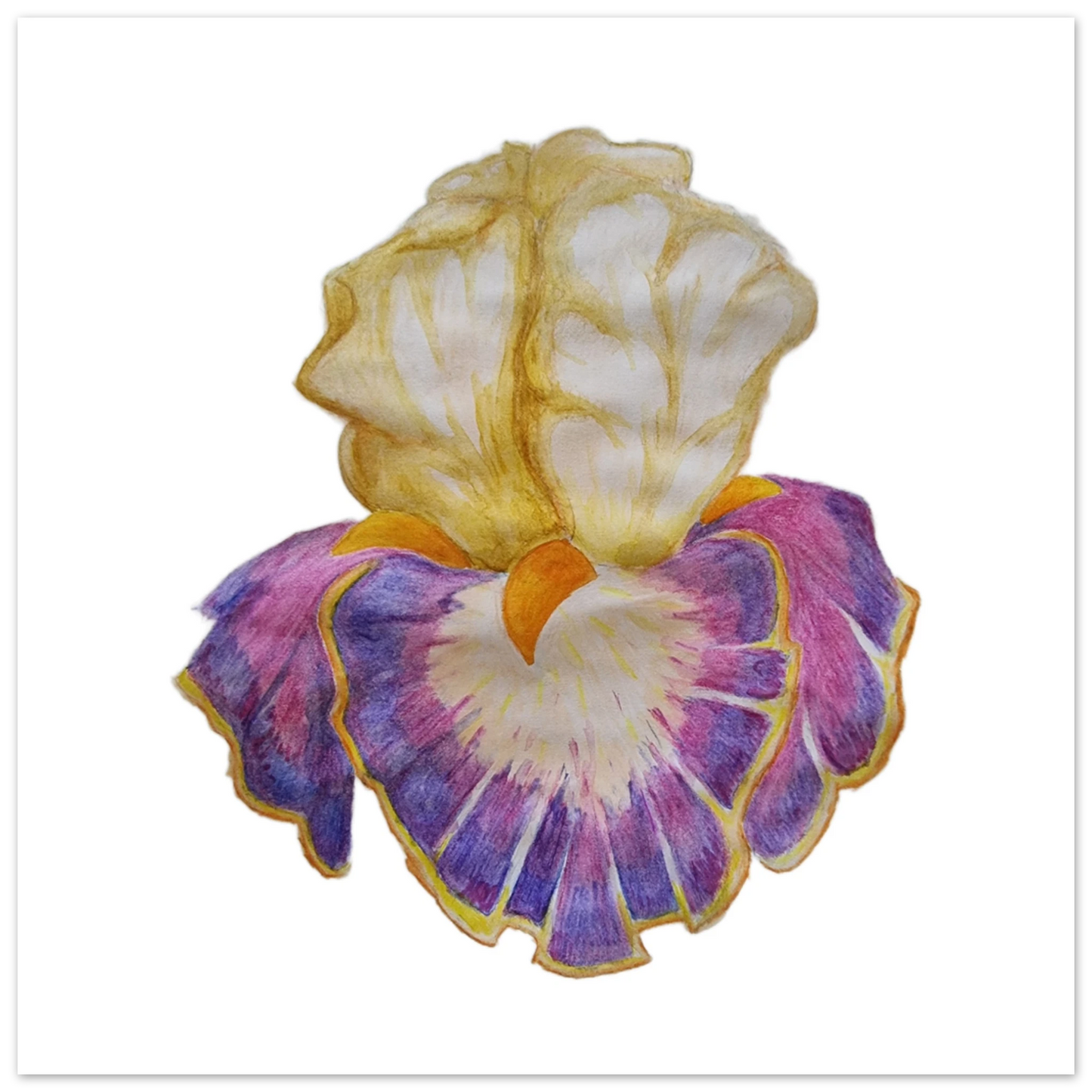 74589803-aa3b-4c08-87ad-7515fba7596b