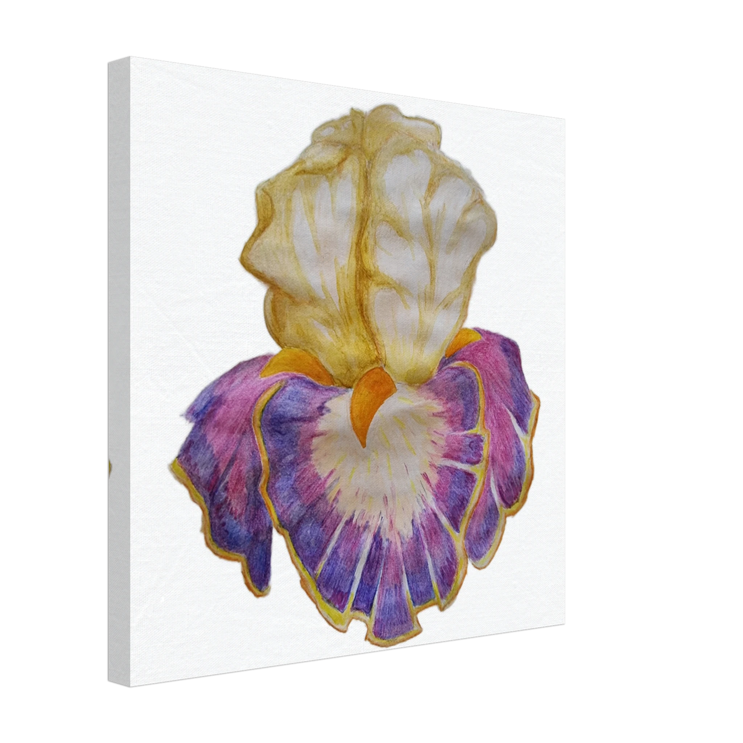 75c179fc-665e-4aed-8013-0e3e67b88cf9