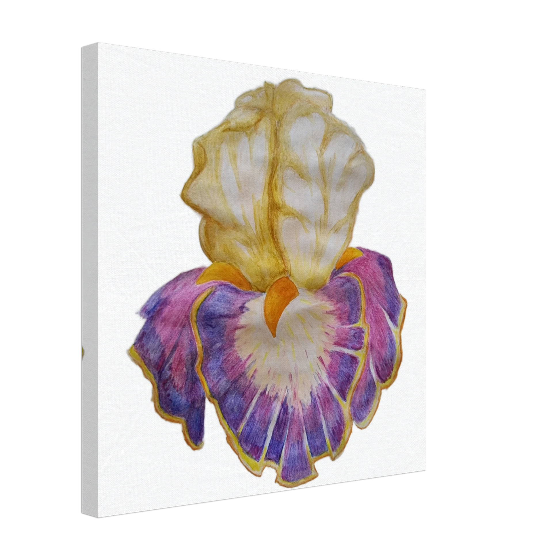 75c179fc-665e-4aed-8013-0e3e67b88cf9