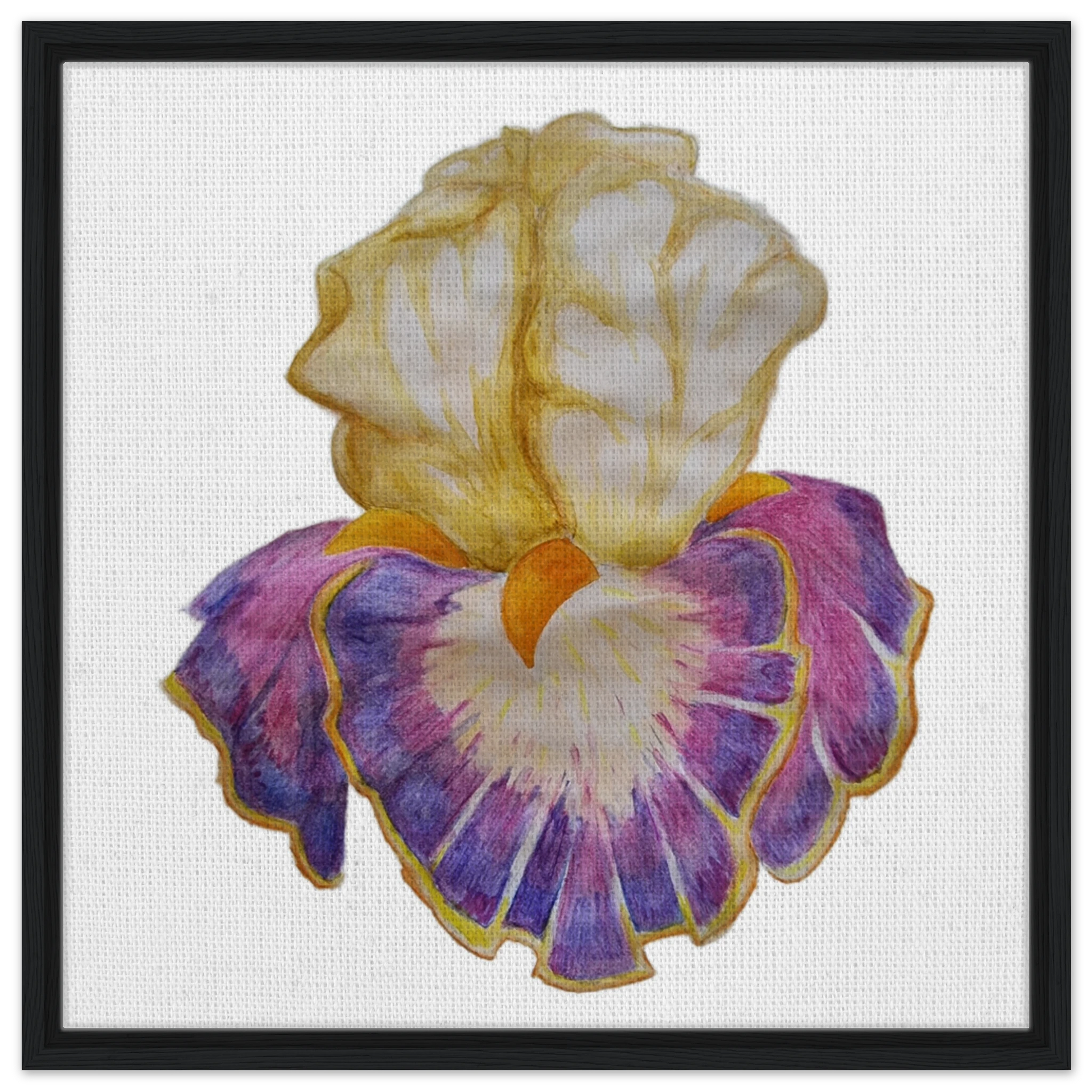 791e2e1a-0e95-47cb-a130-ce398ea85bfc