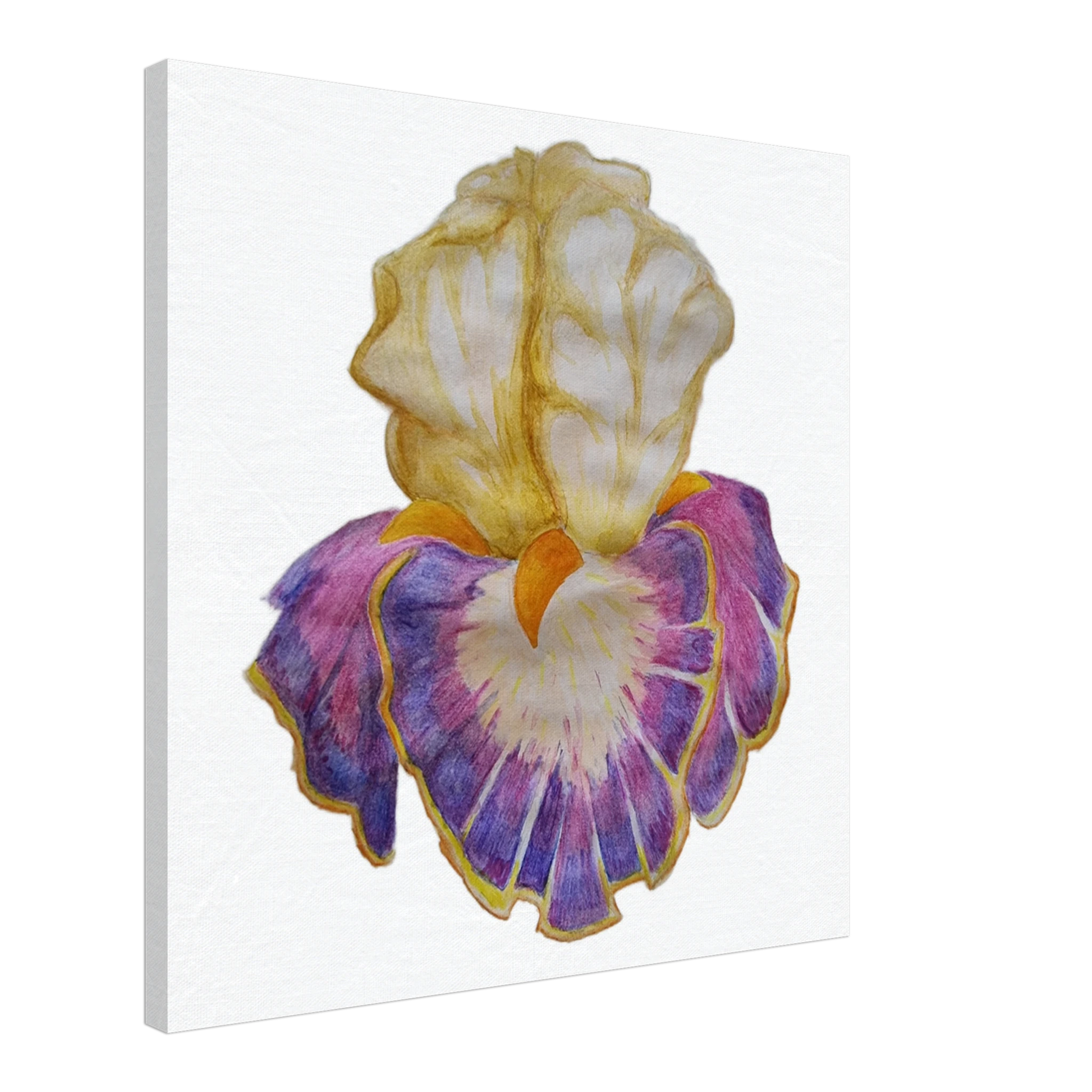 7aa7e226-0048-43d5-bcb7-f8edbd62e7d9