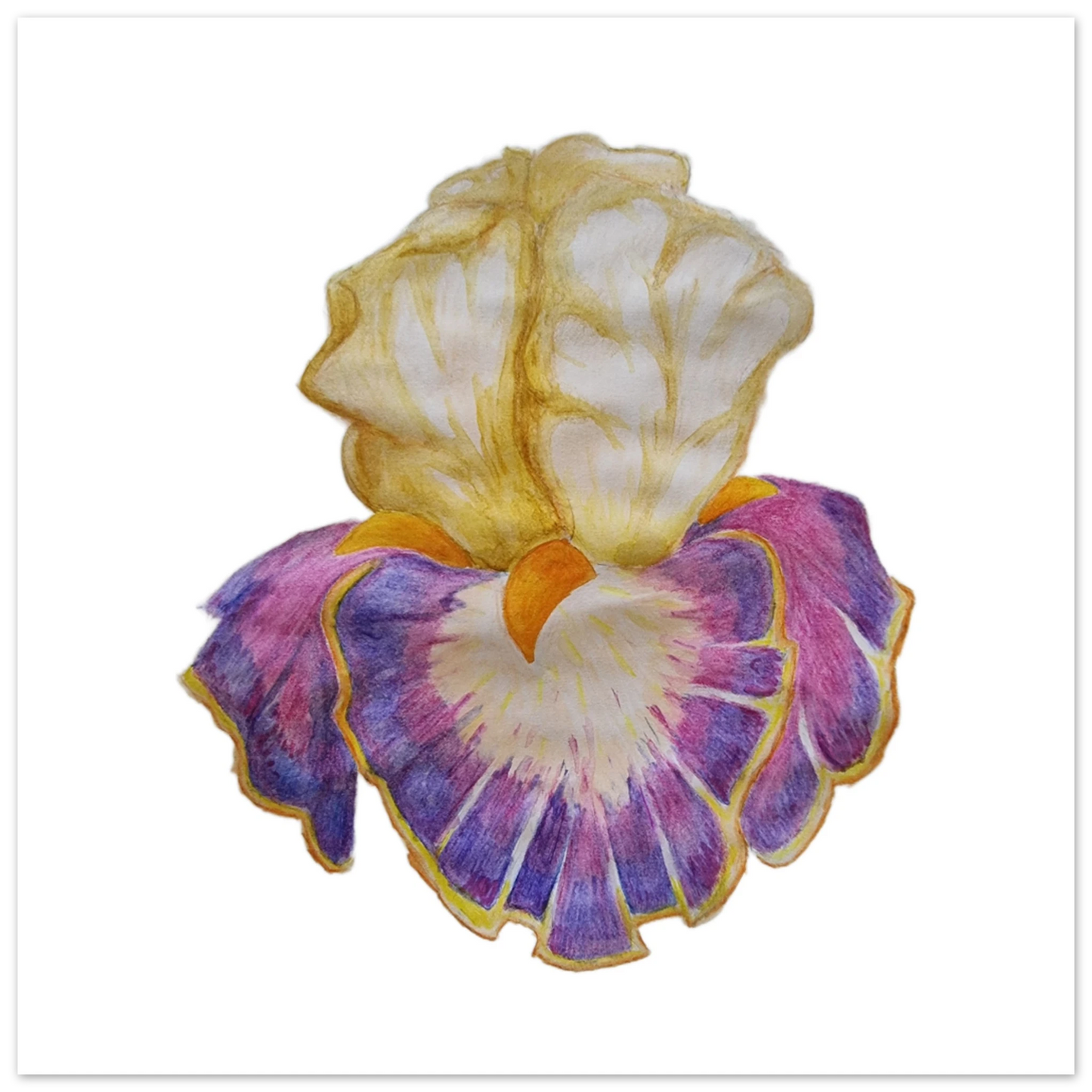 812cb14f-f2dd-482b-9ac4-3da6795e9400