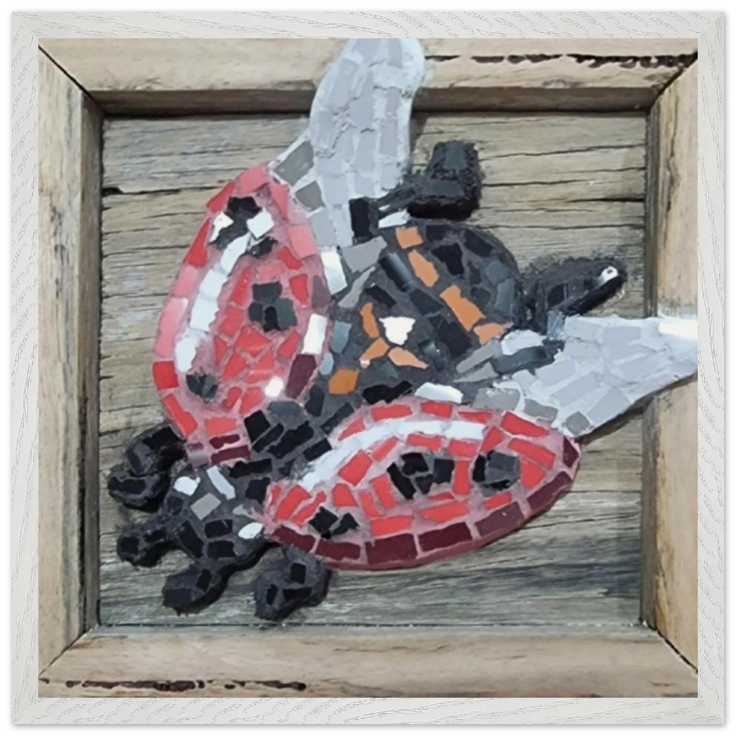 81ff3685-88c2-4e06-9f23-40962f357ef9