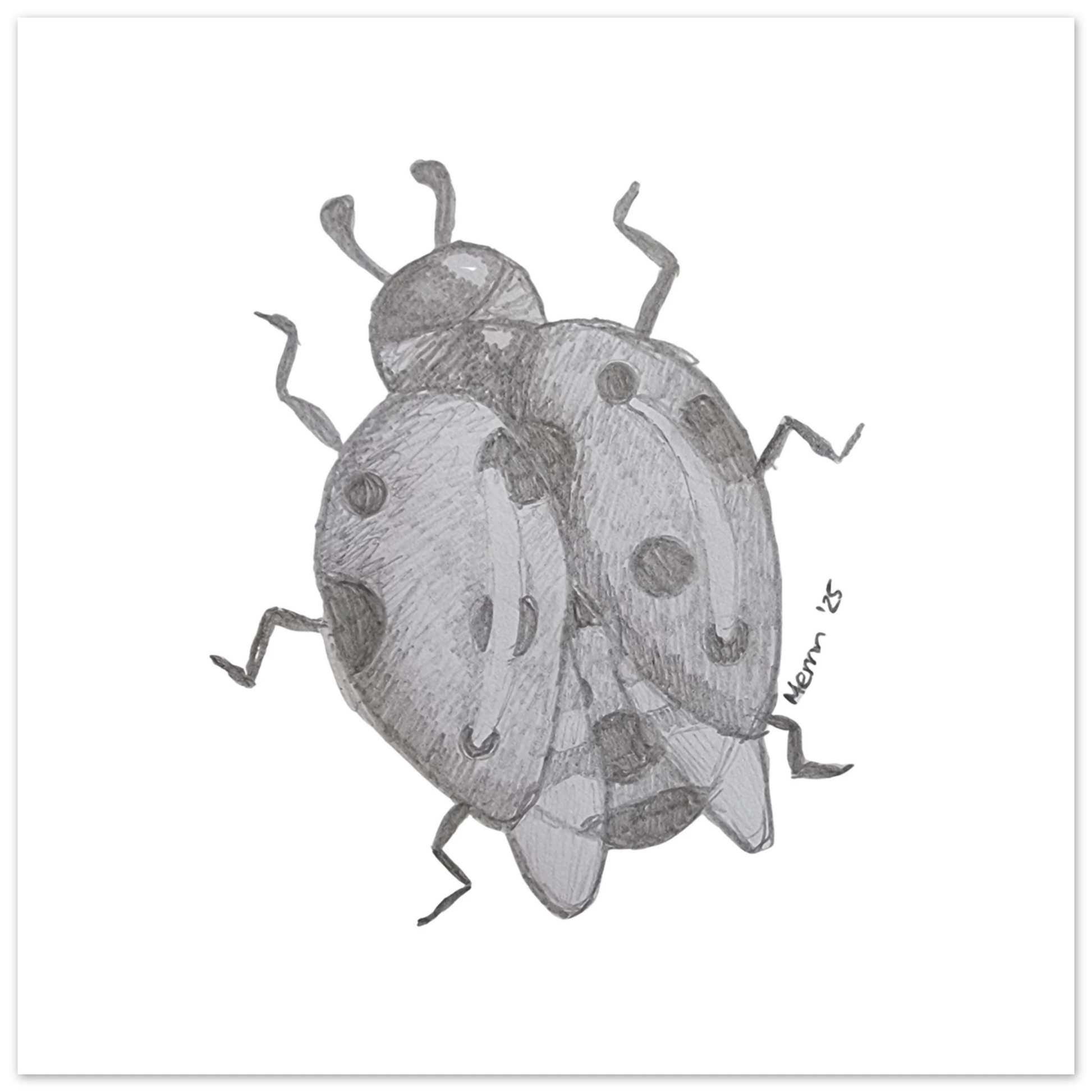 84c9387b-e4d6-4c8f-af50-d6a3620c7f25