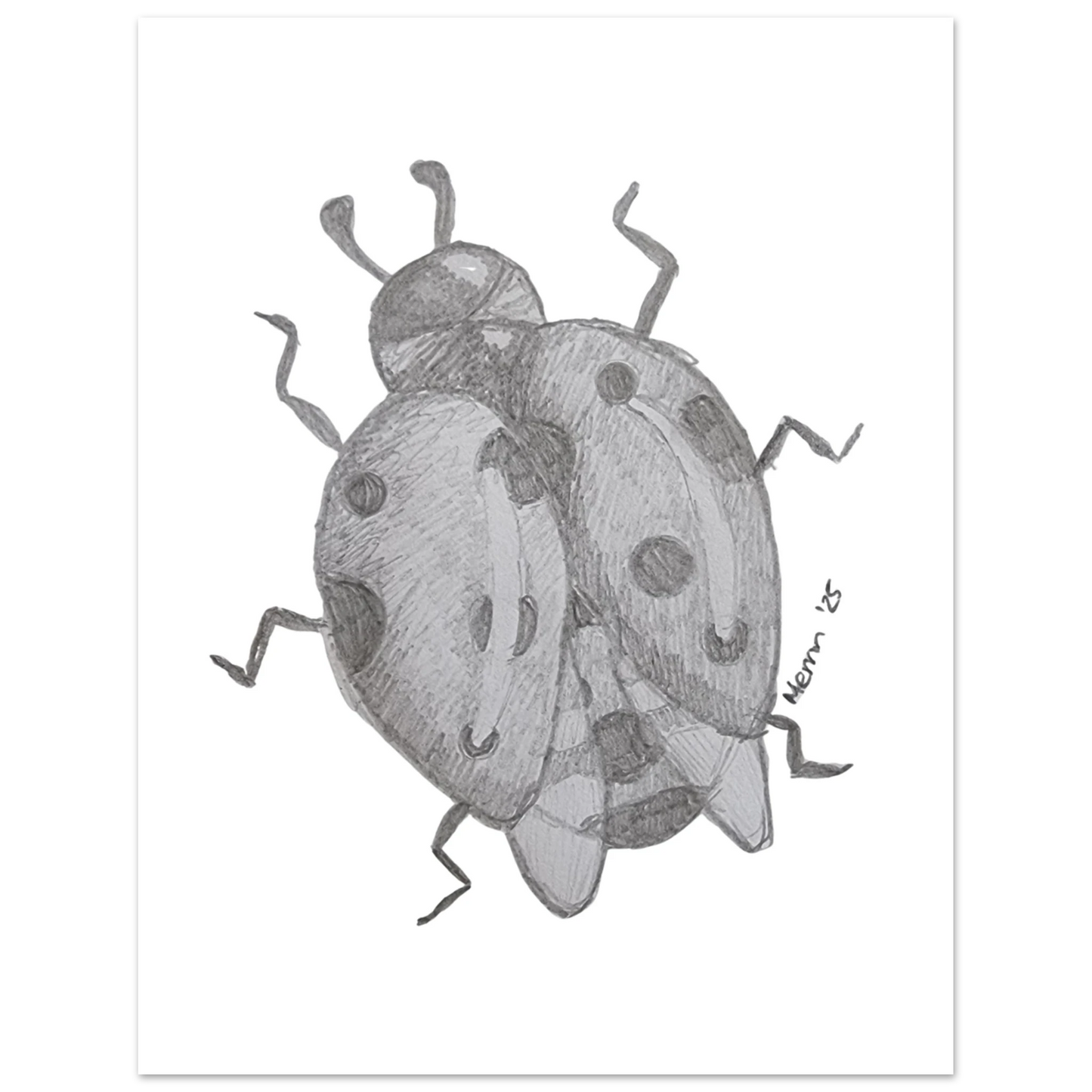 85f24d1e-1bc0-416a-9df1-5d61e7467364