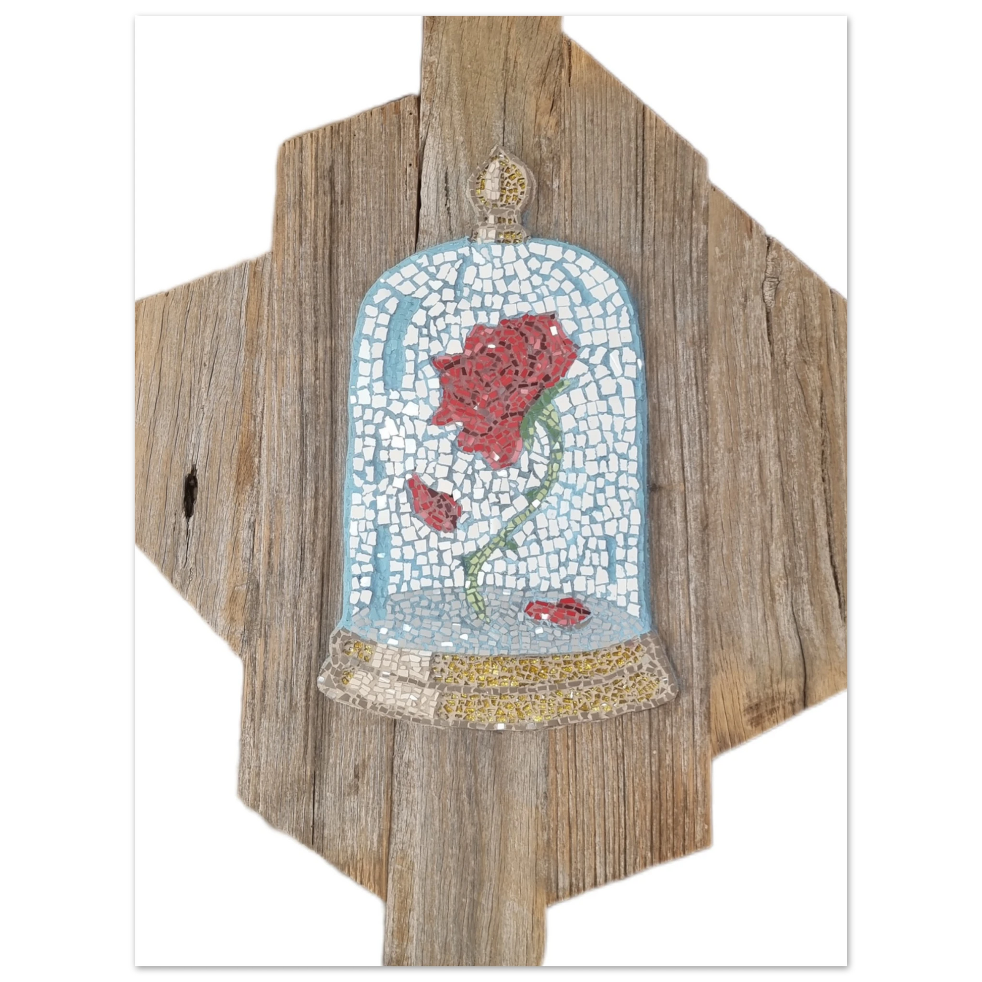 8b543cbb-9902-4970-911b-82cedc3c9a3d