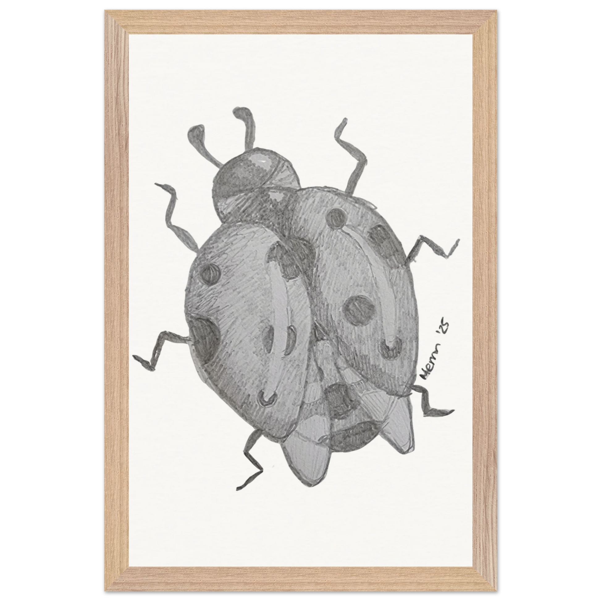 8daa4caf-c3e4-4369-b56d-97a97e9913df