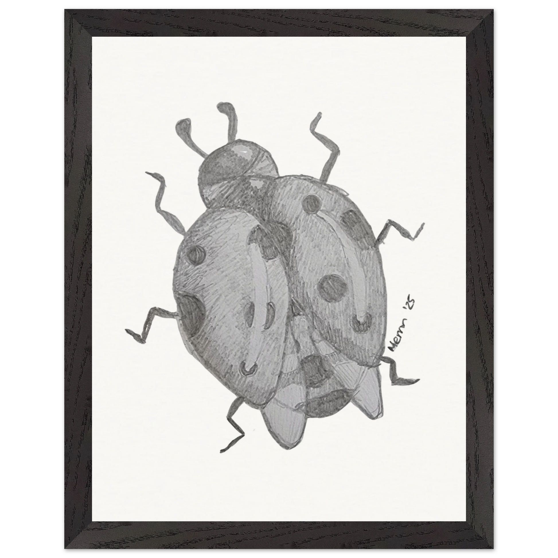 917feeb2-2e02-479d-ac71-47737a7553ed