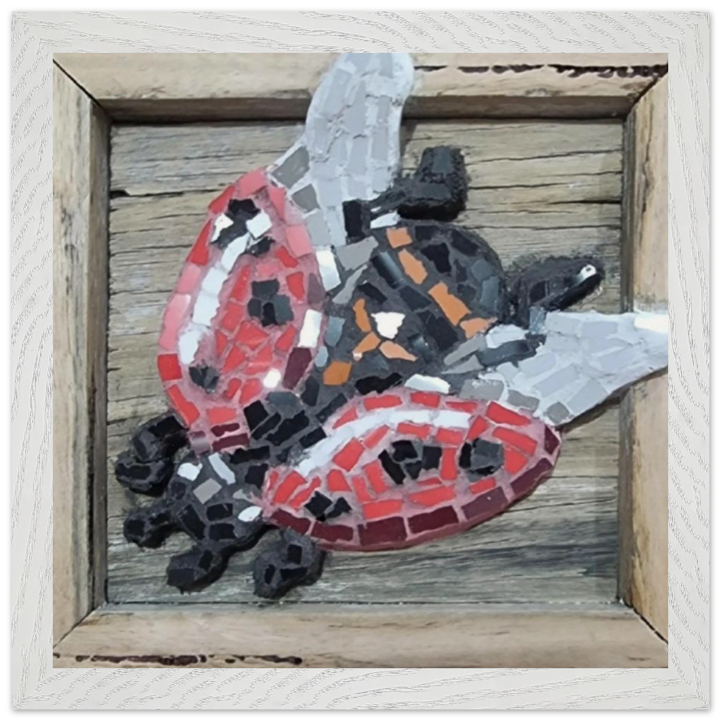 98a419e9-9886-4987-9c0b-bdb60e8c3e56