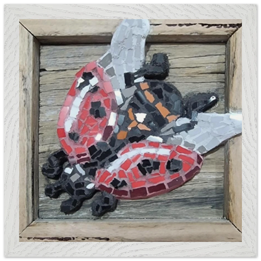 98a419e9-9886-4987-9c0b-bdb60e8c3e56