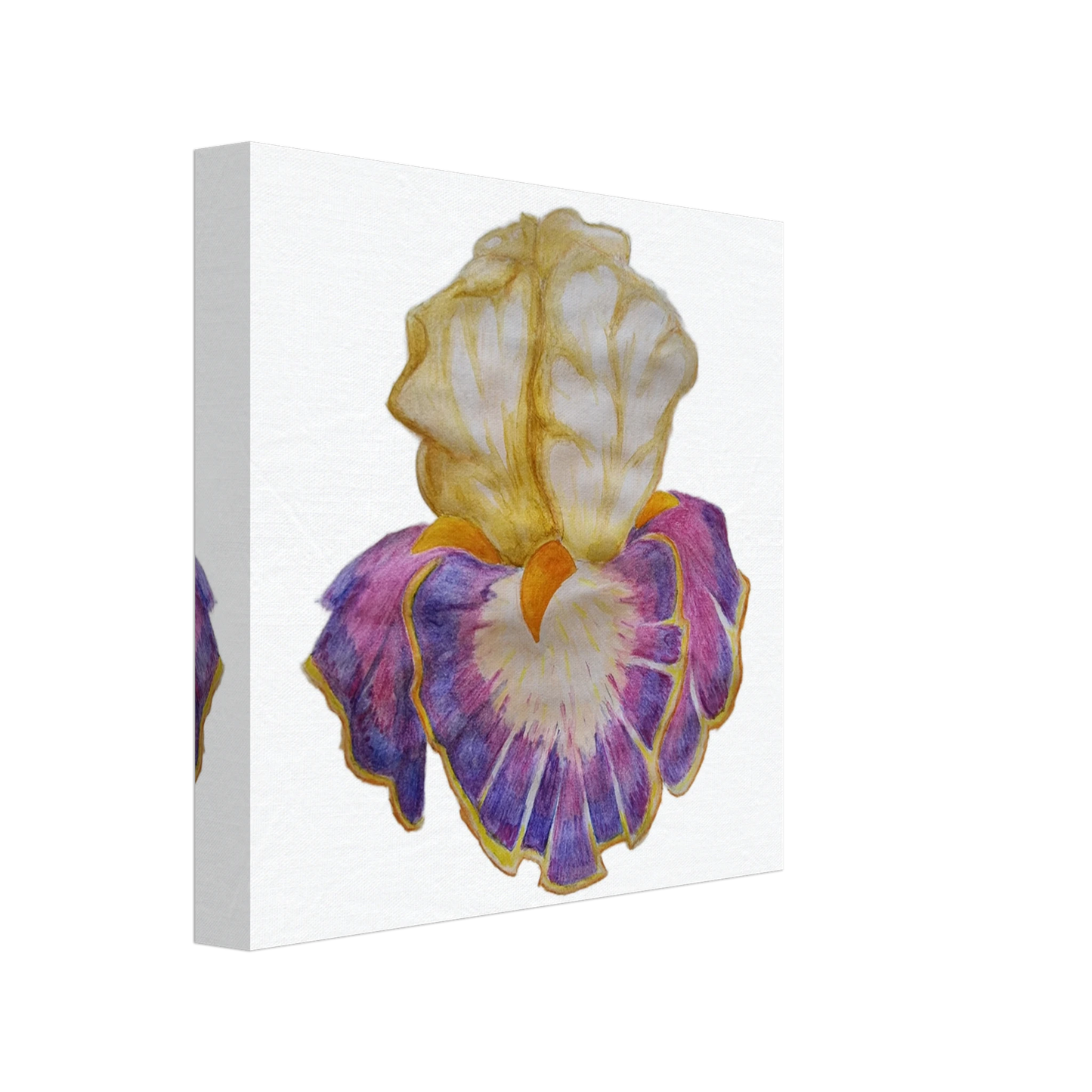 9af578b4-c6ac-4bca-911d-f6445dbef000