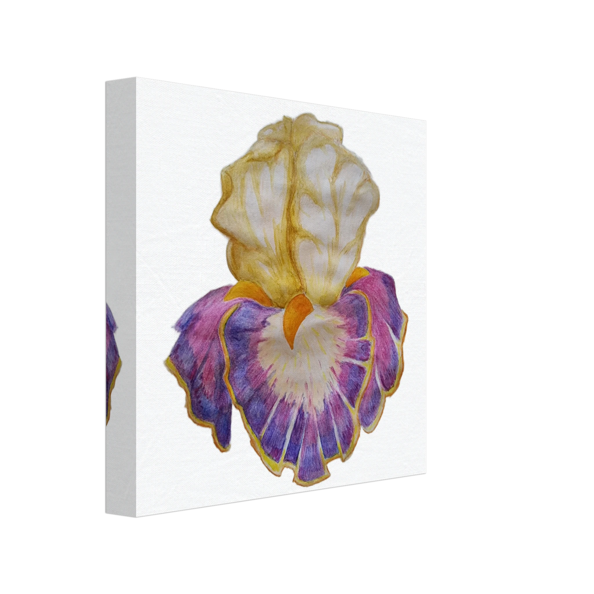 9af578b4-c6ac-4bca-911d-f6445dbef000