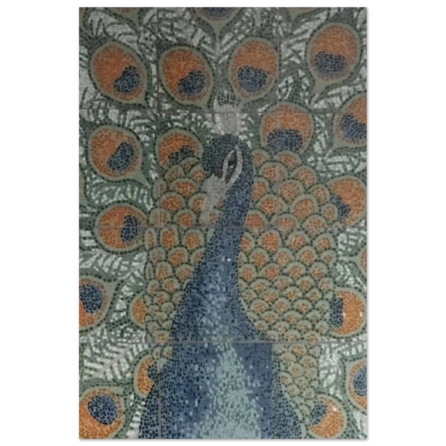 9e211e9b-f6f5-4ead-aac5-664c6b9e32b6