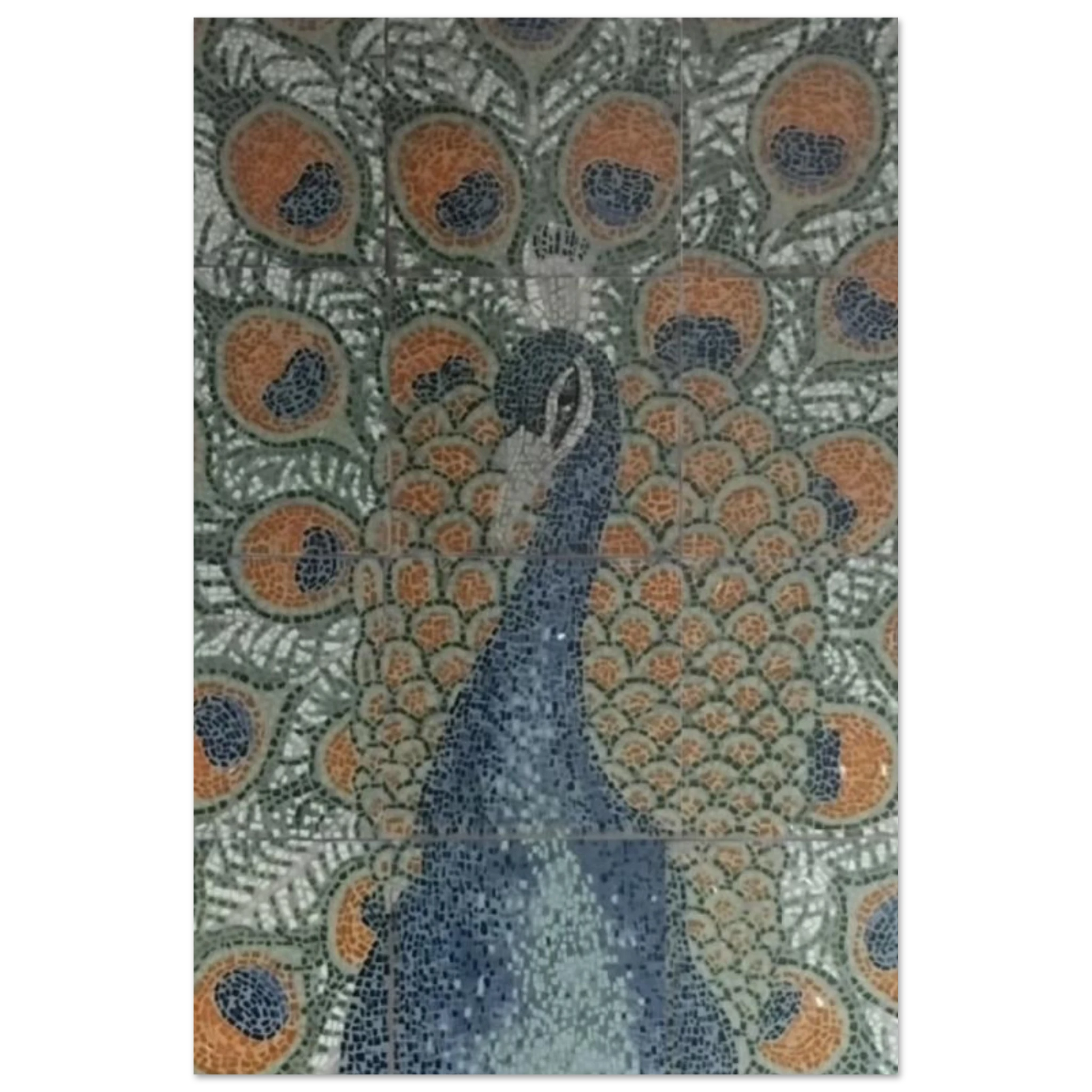 9e211e9b-f6f5-4ead-aac5-664c6b9e32b6