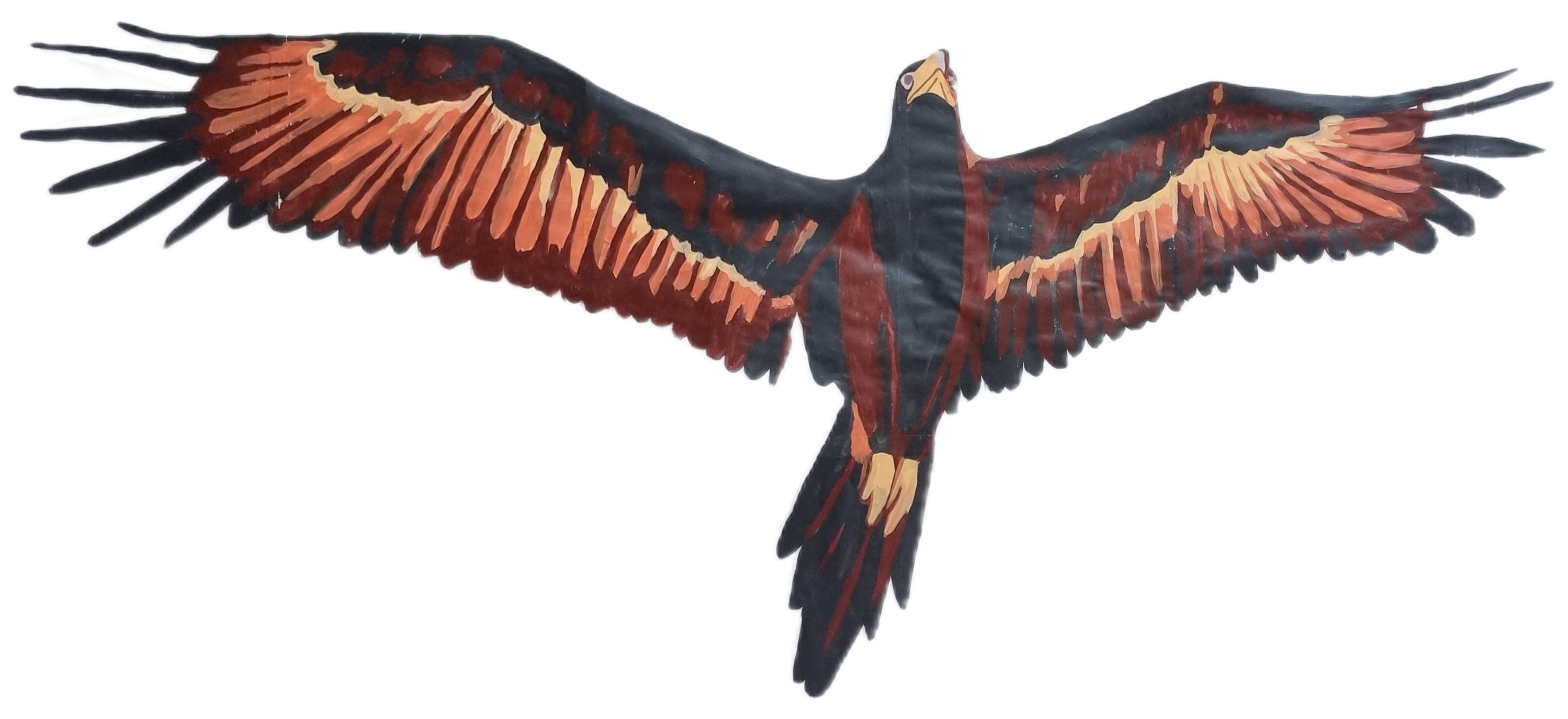 Concept painting of a Wedge-tailed Eagle, depicted mid-flight with outstretched wings and detailed feather textures. The background features soft, atmospheric tones, emphasizing the bird’s commanding presence and its role as an iconic symbol of Australian wildlife.